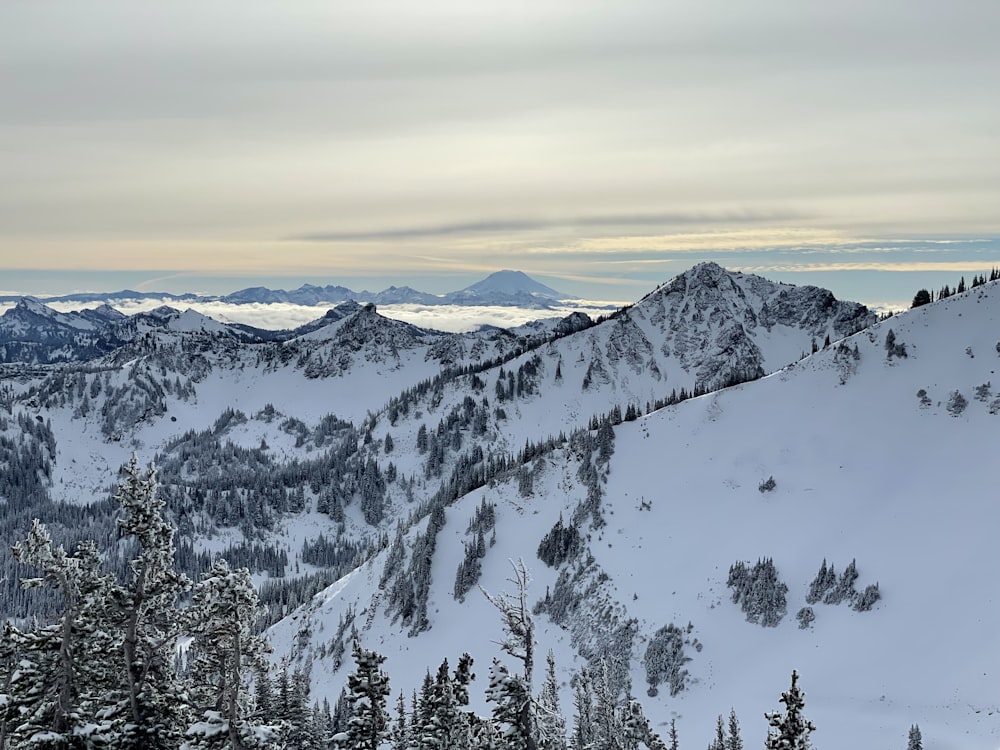 Una vista de una montaña nevada con árboles y montañas al fondo