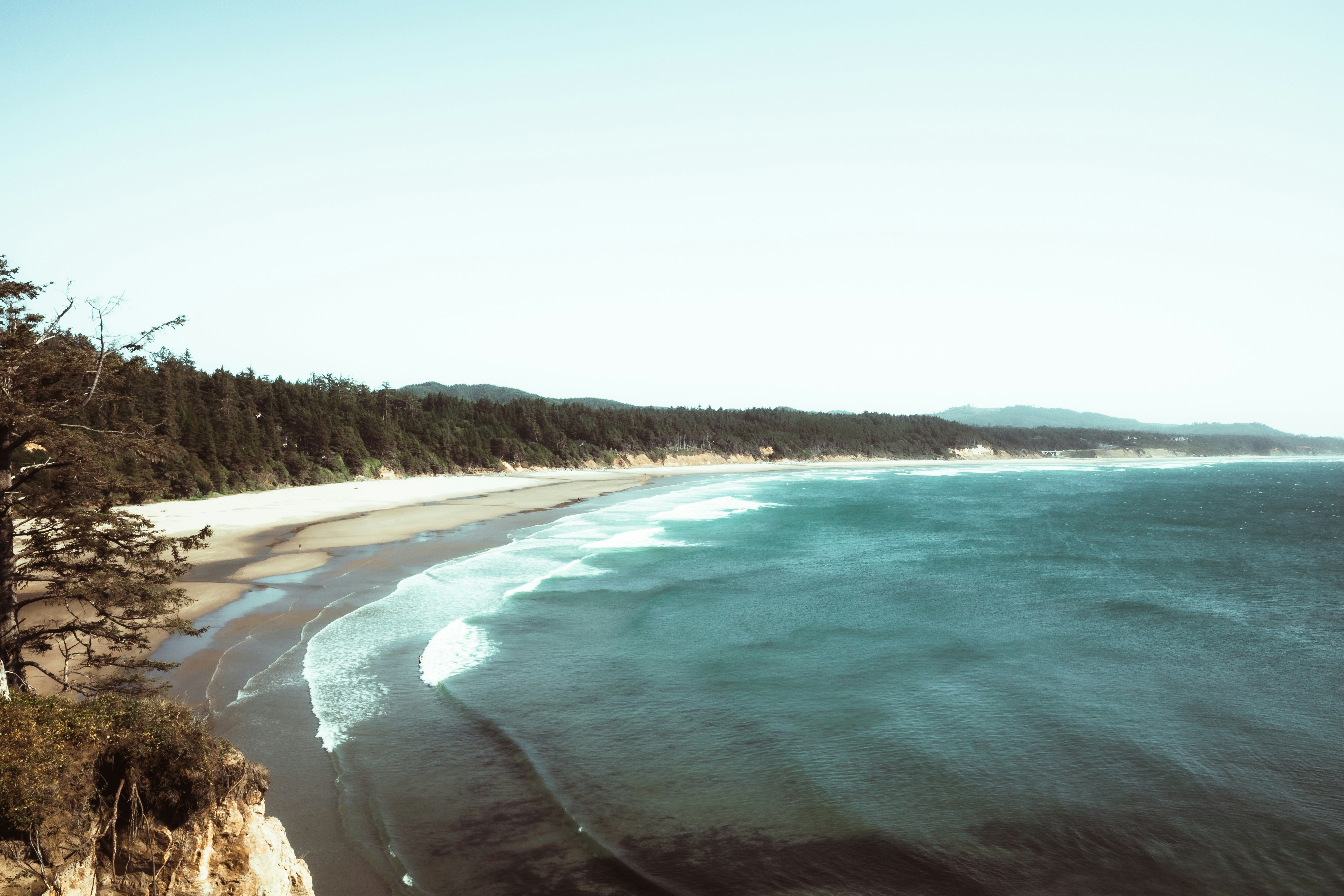 Photo by levijackson