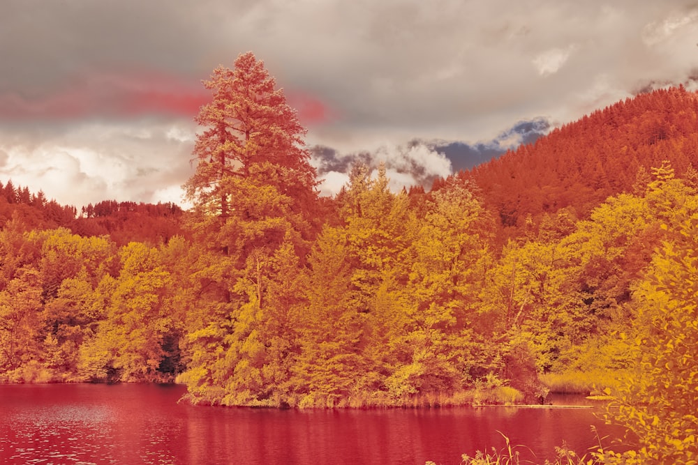 a lake surrounded by trees with a cloudy sky in the background