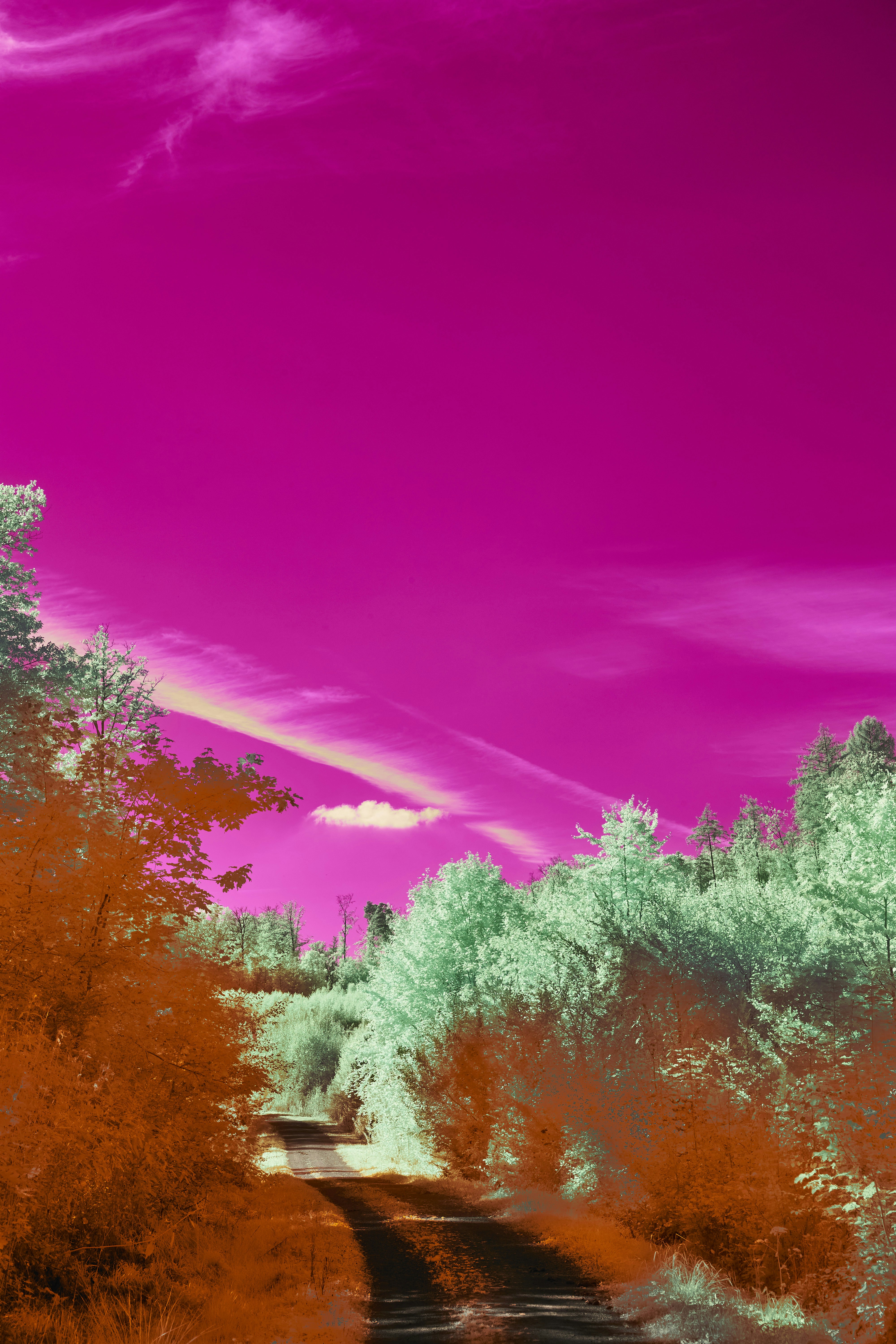 Photo by wolfgang_hasselmann