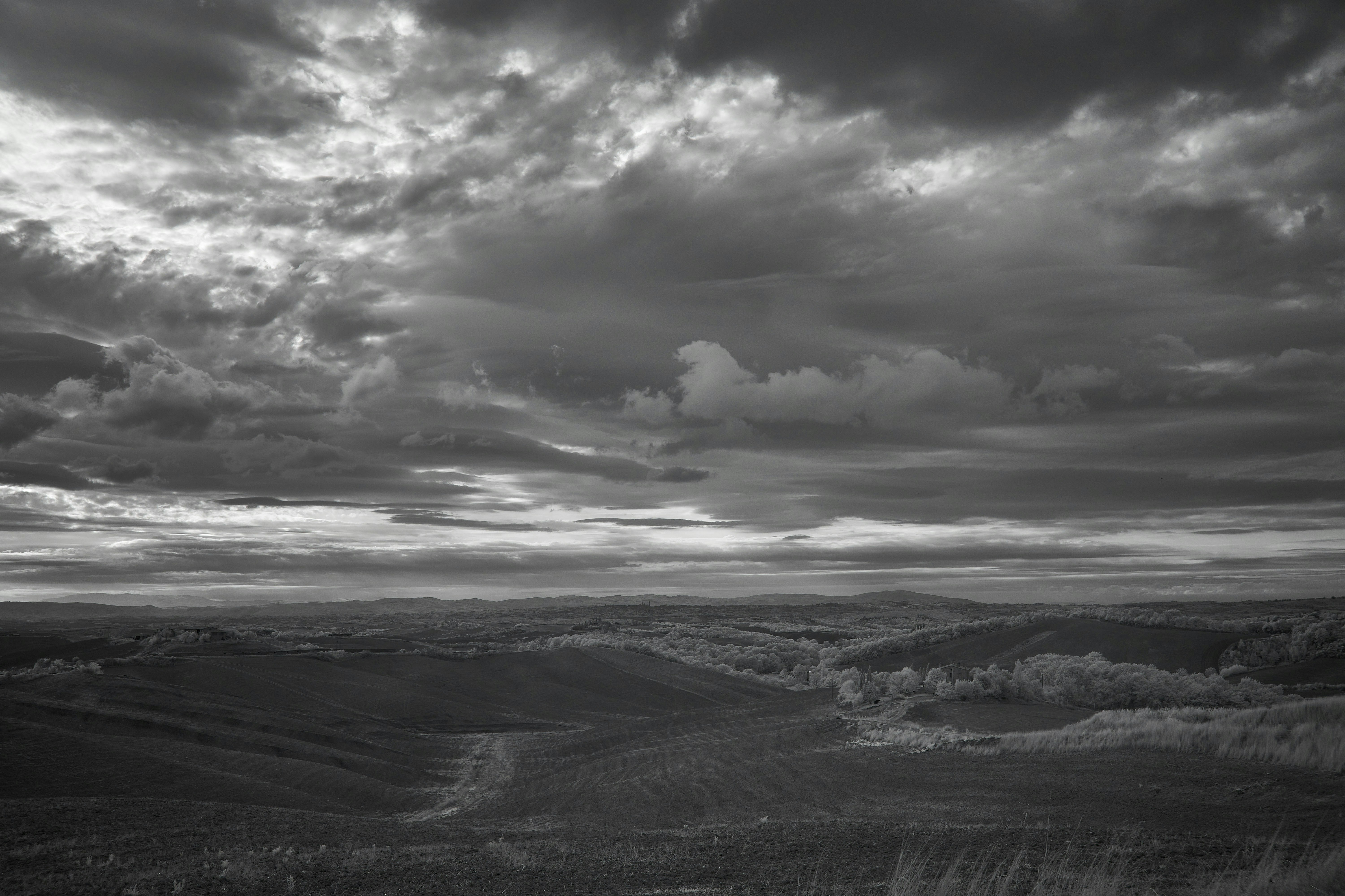 Photo by wolfgang_hasselmann