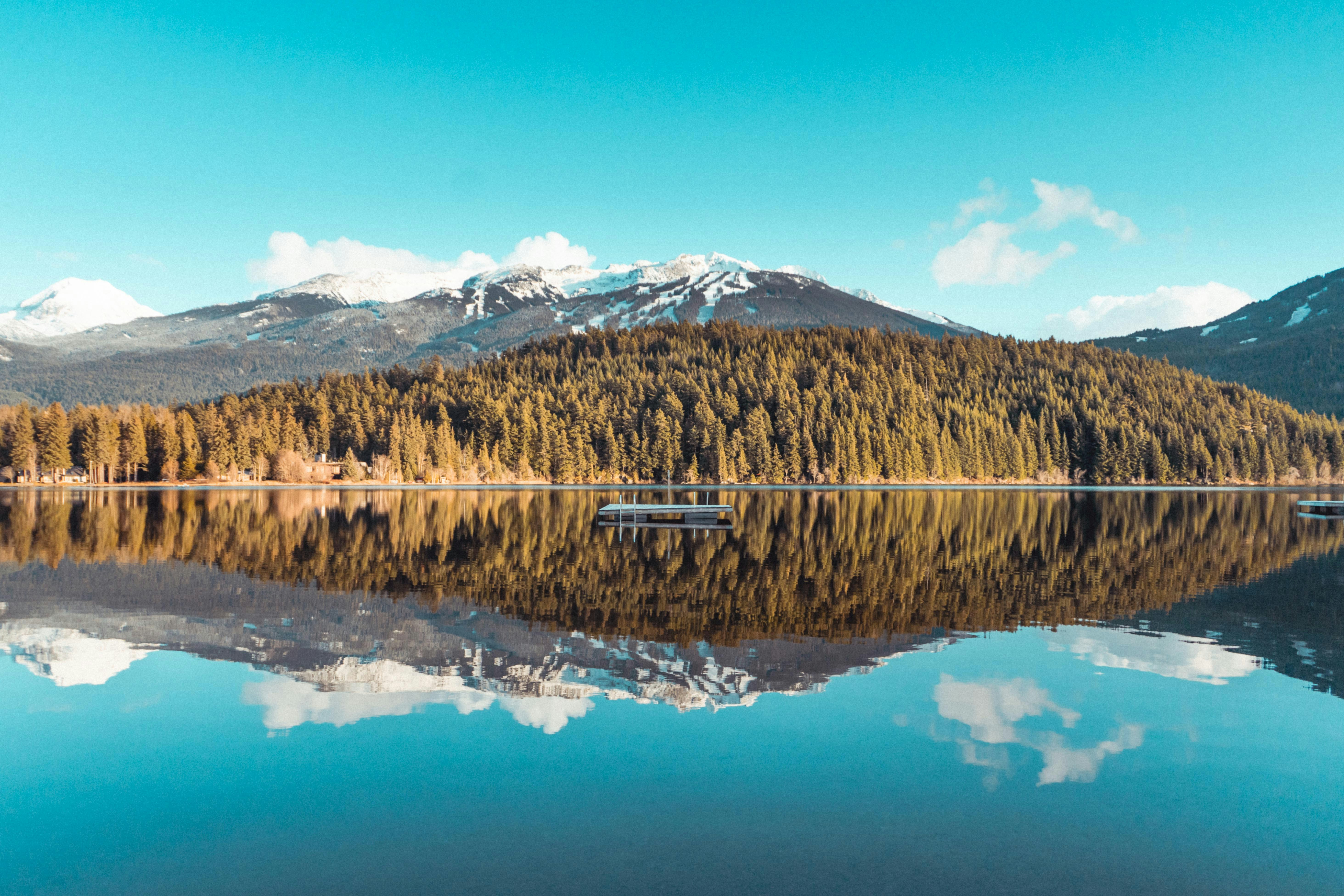 Photo by notoriousbj