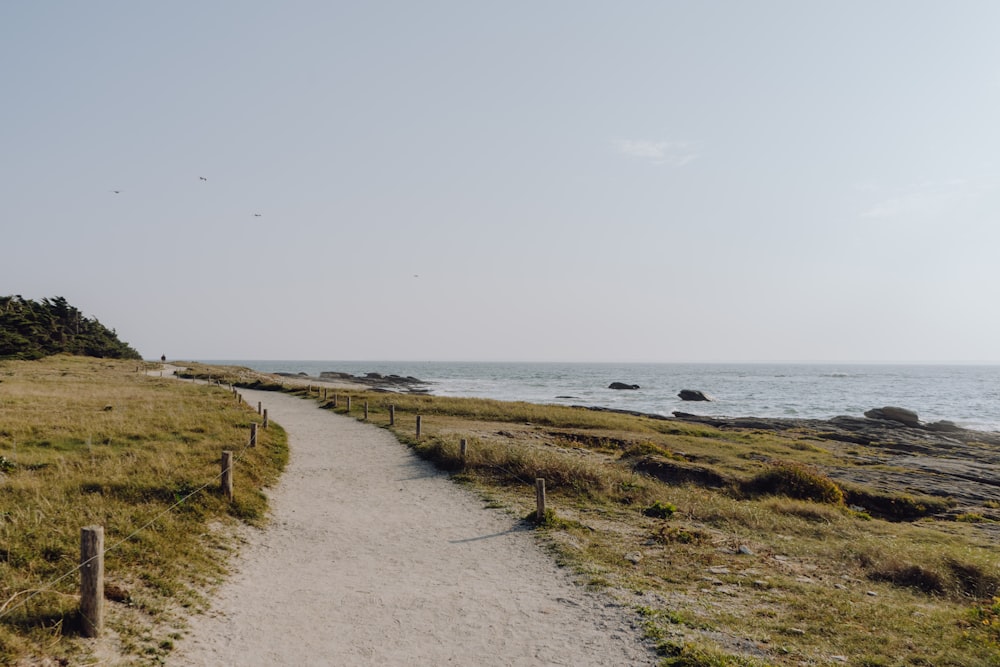 a path leading to the ocean on a sunny day