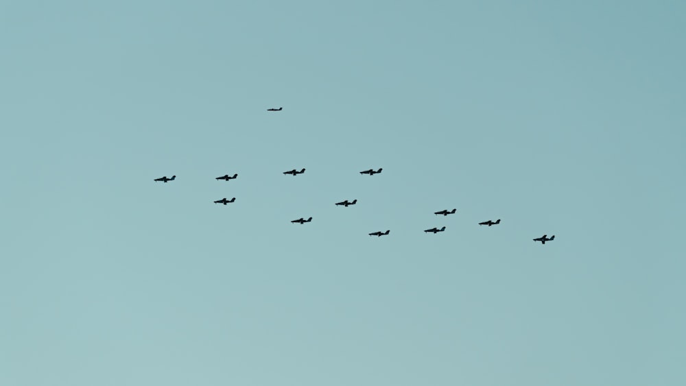 a group of planes flying in formation in the sky