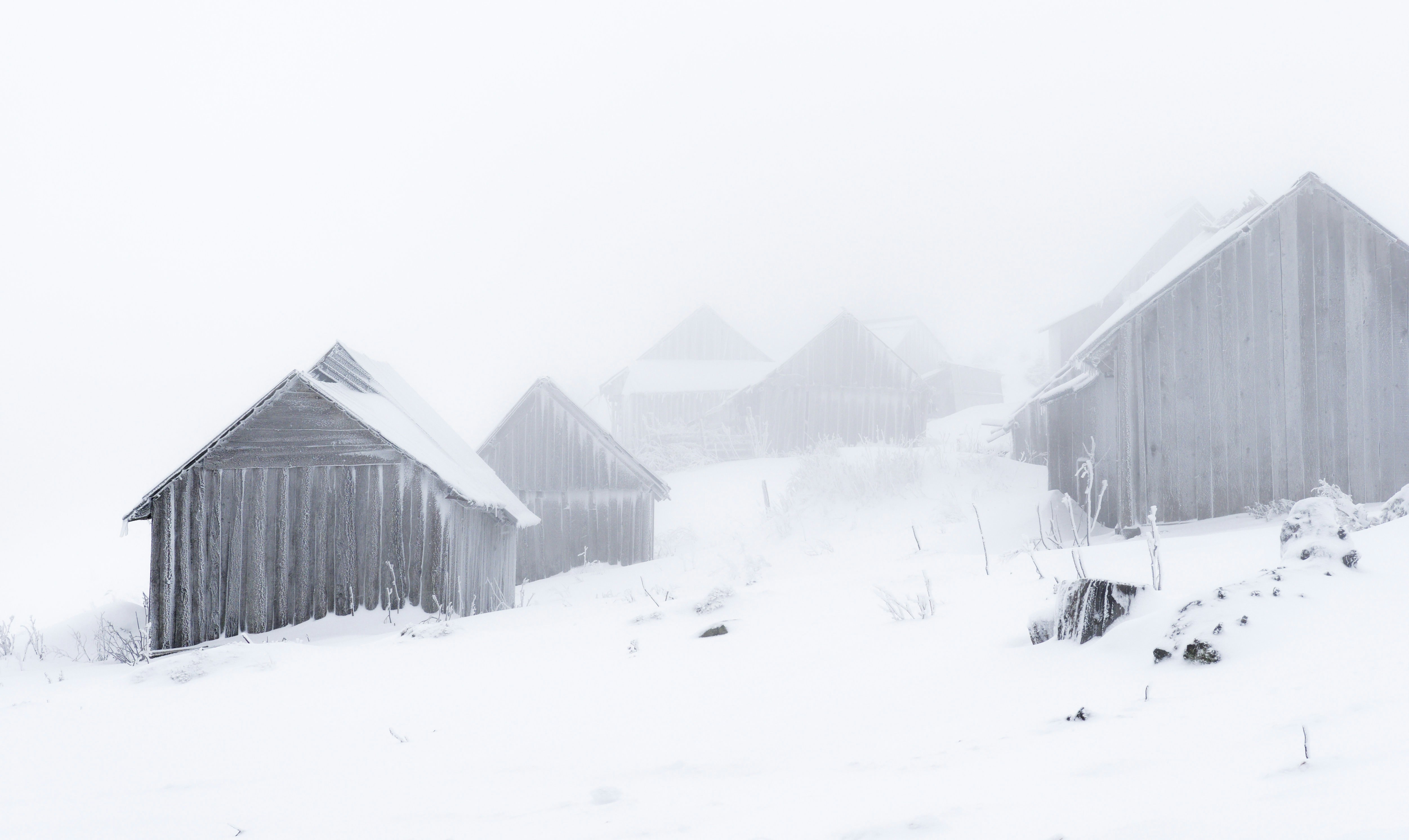 Photo by illes_cristi