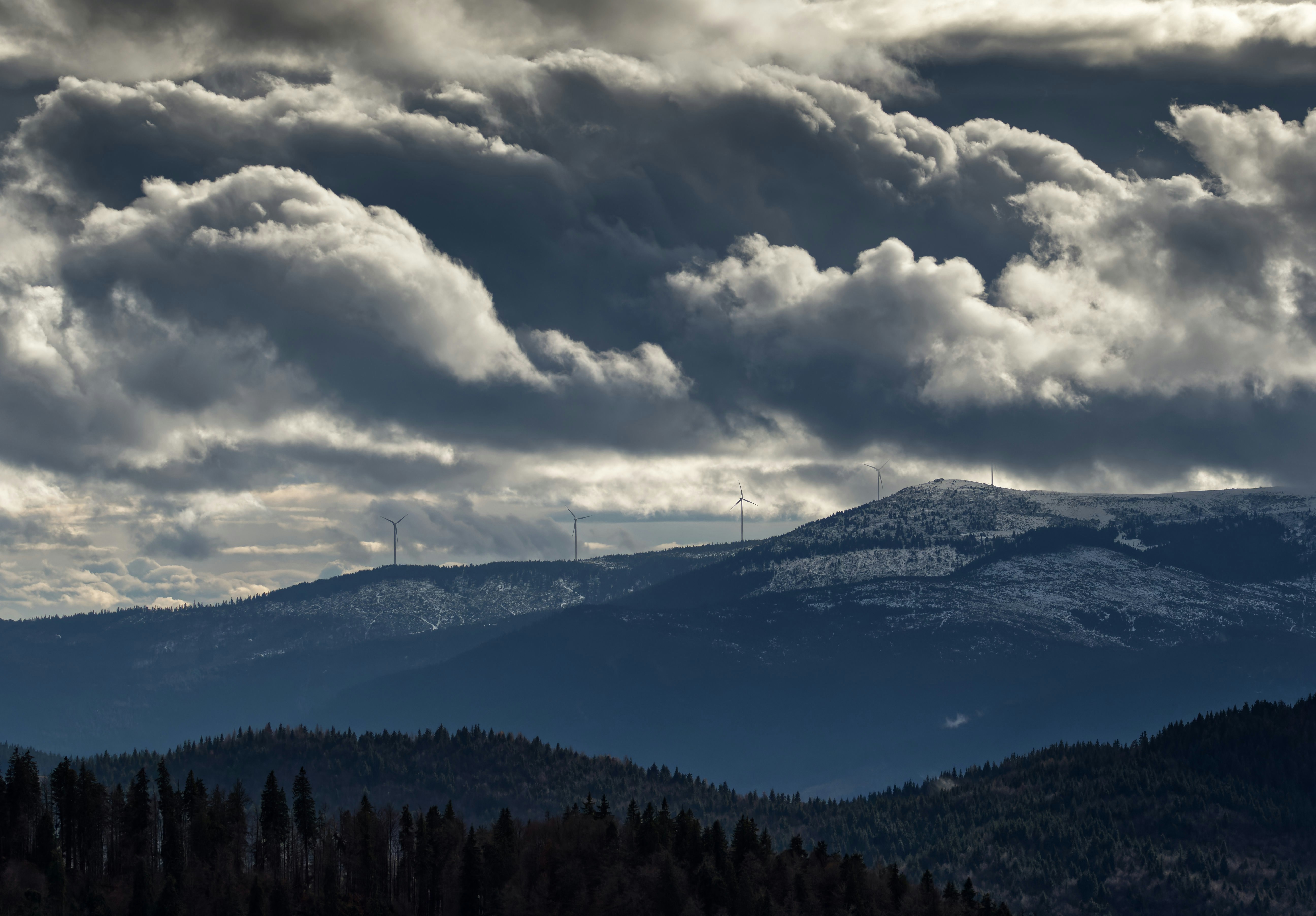 Photo by illes_cristi