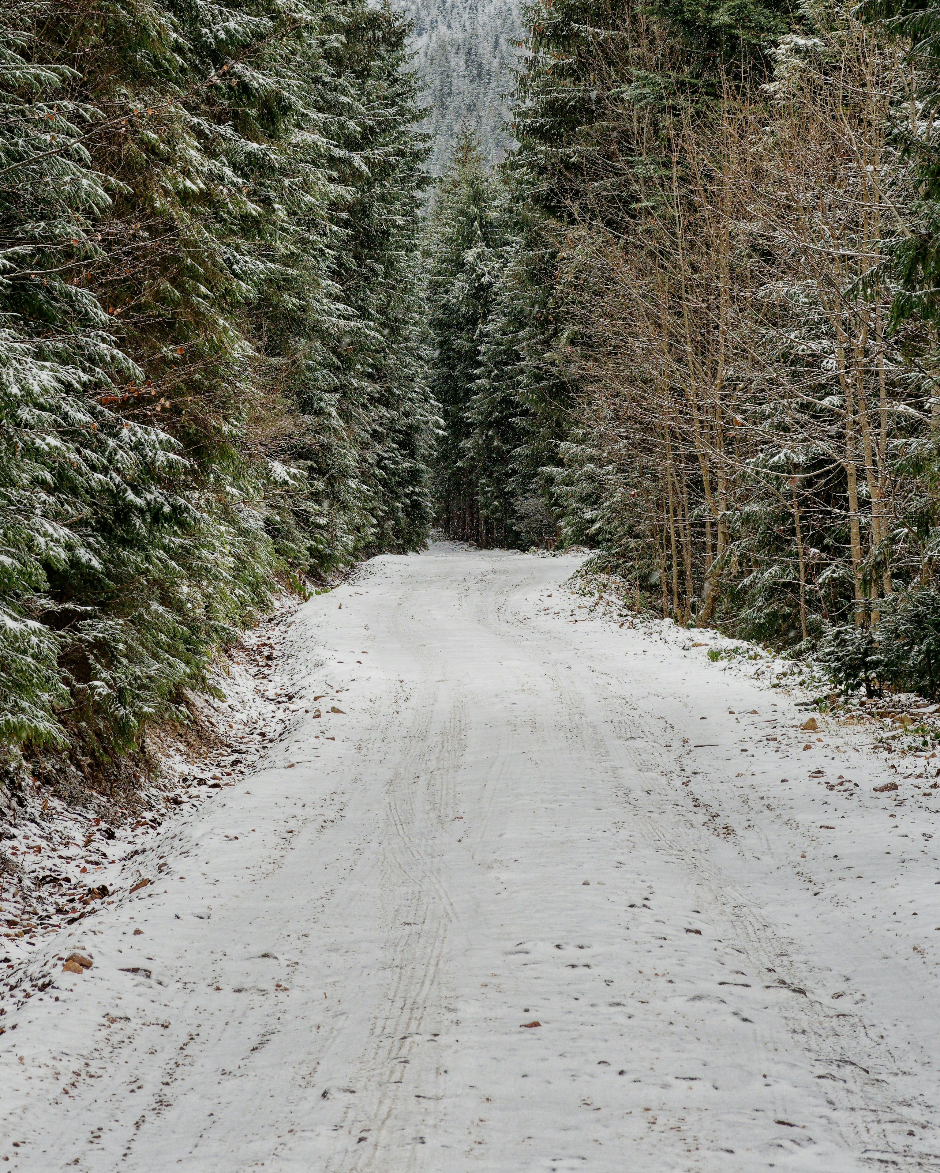 Photo by illes_cristi