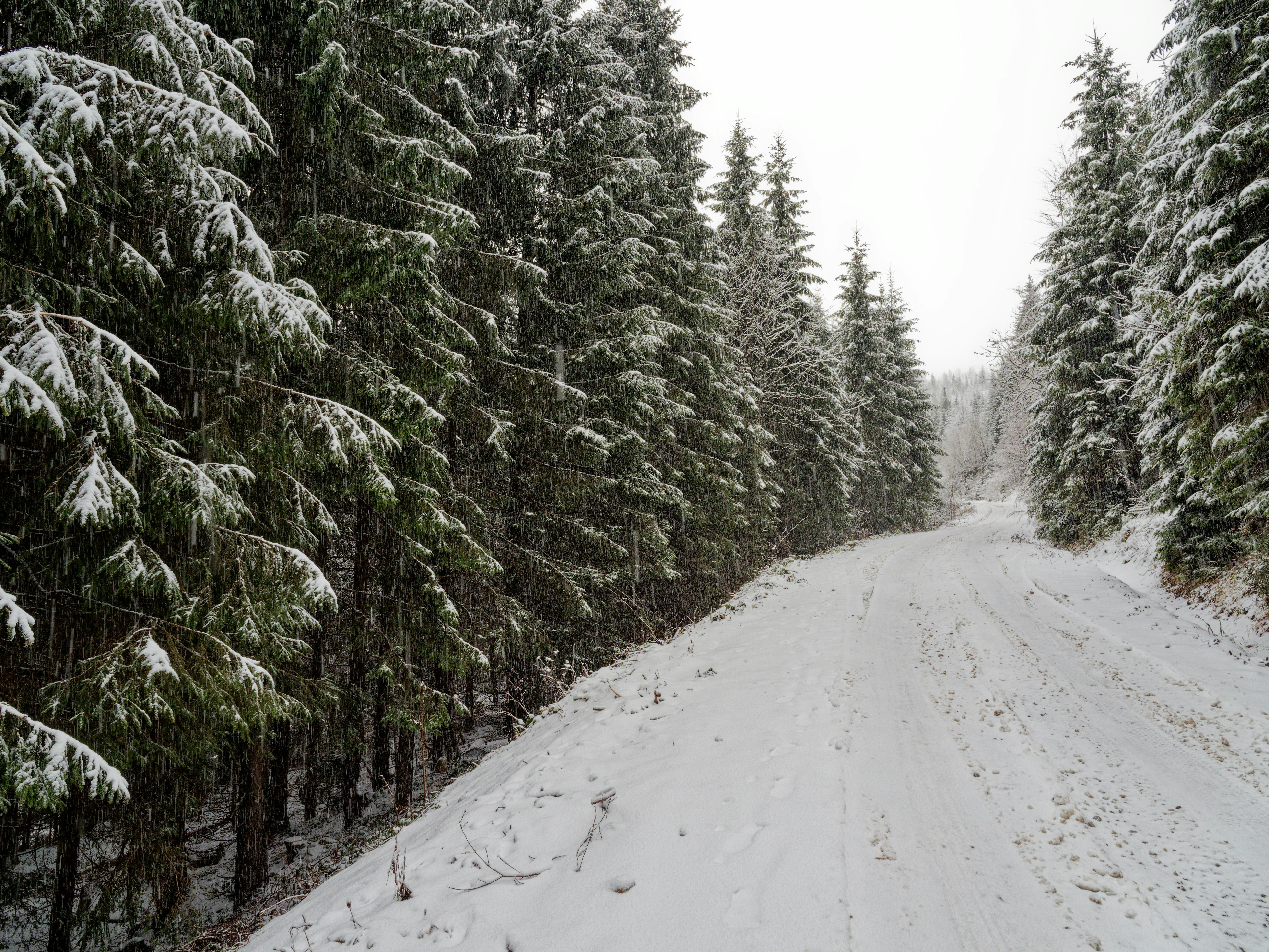 Photo by illes_cristi