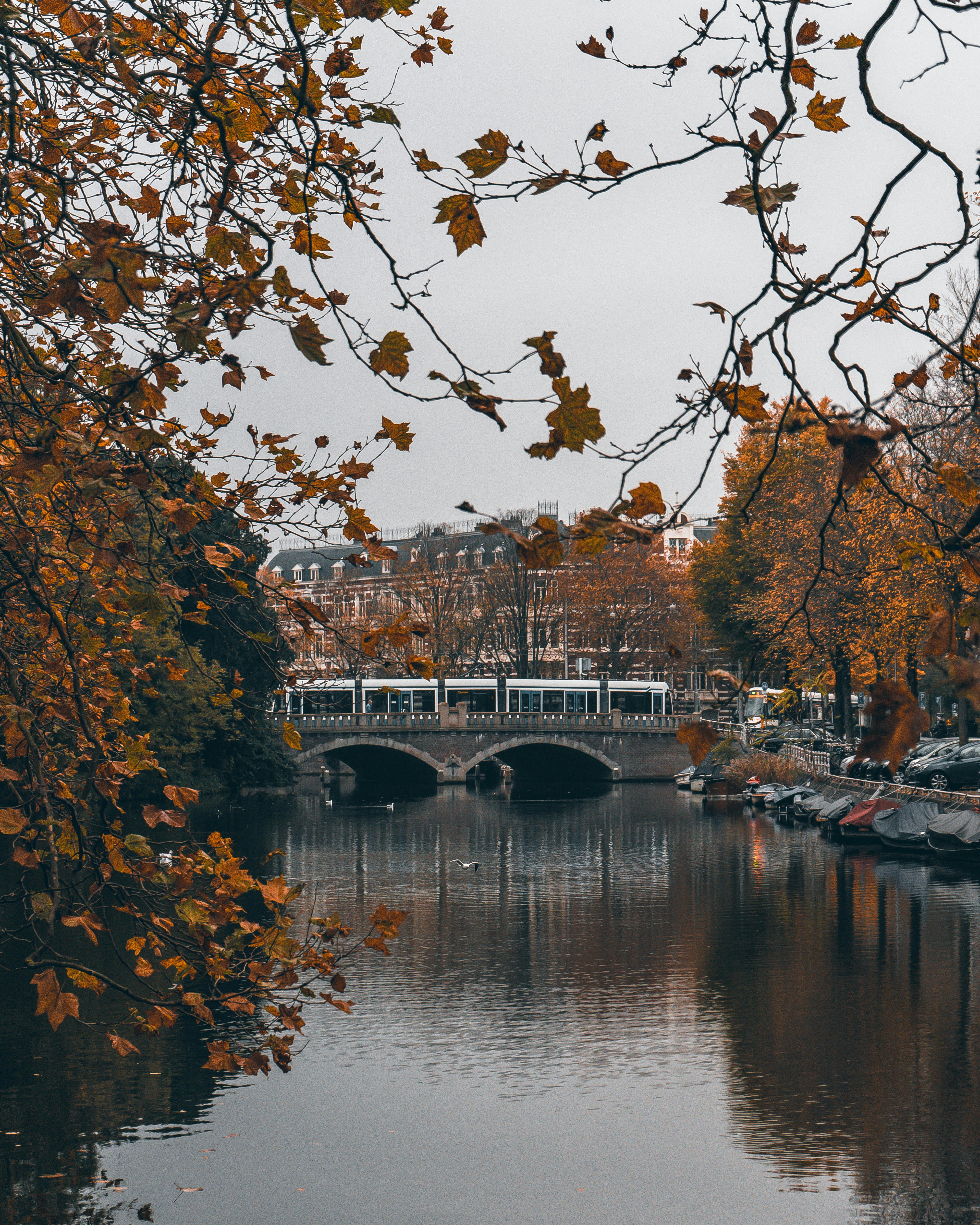 Photo by linaxdiablo