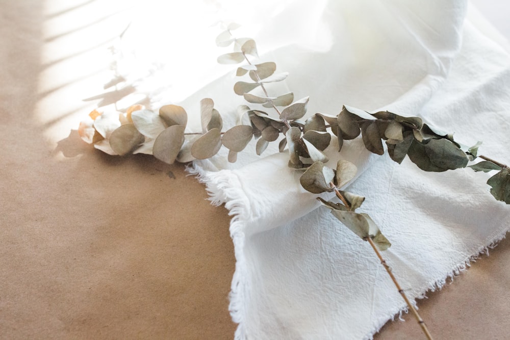 a close up of a flower on a cloth