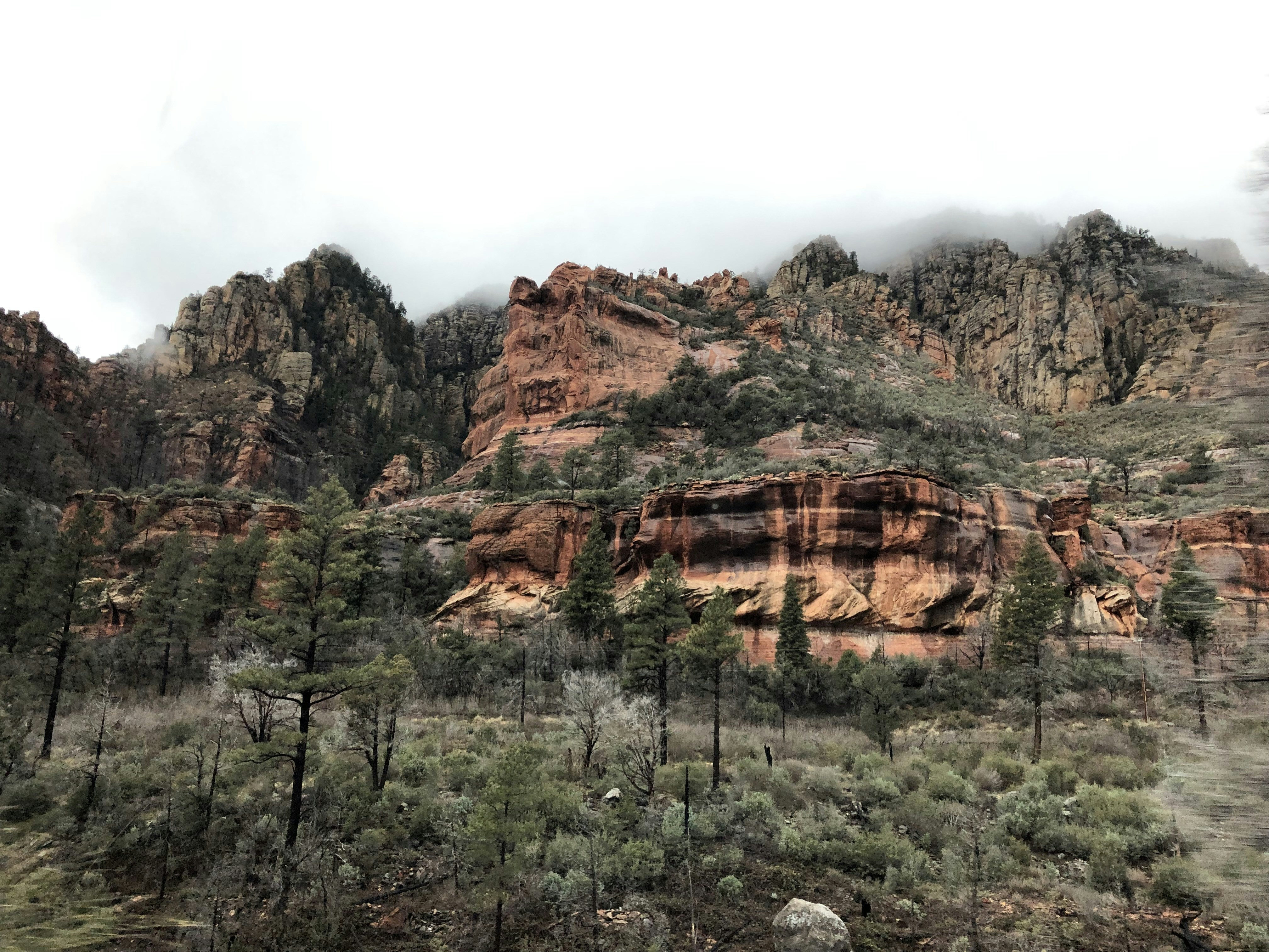 Red rocks and green junipers in Sedona, Arizona