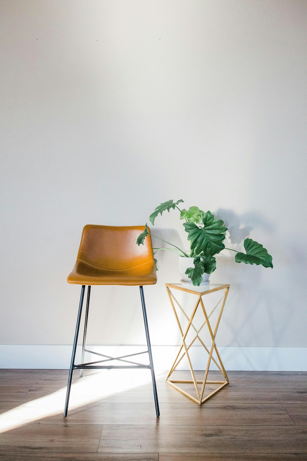 Una silla junto a una planta en un suelo de madera