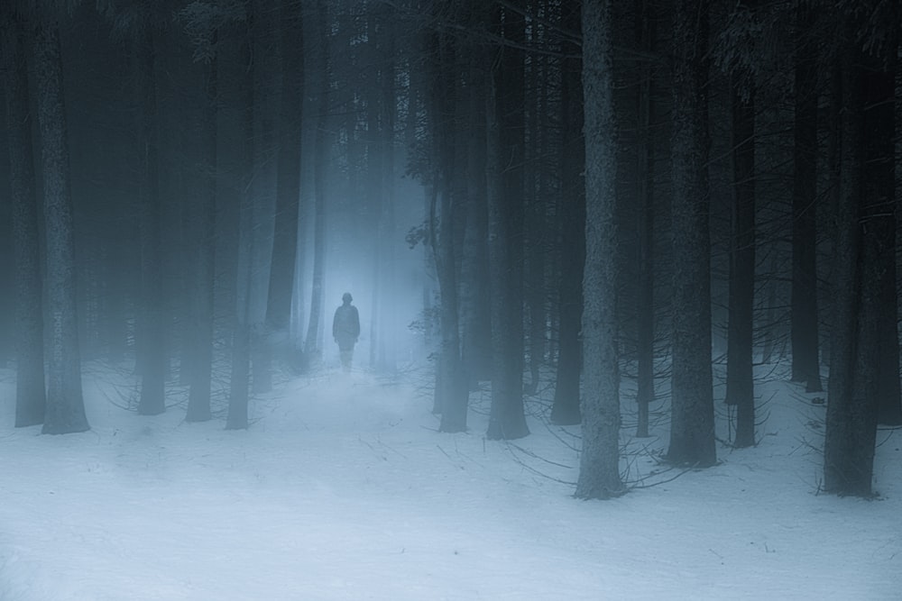 uma pessoa em pé no meio de uma floresta
