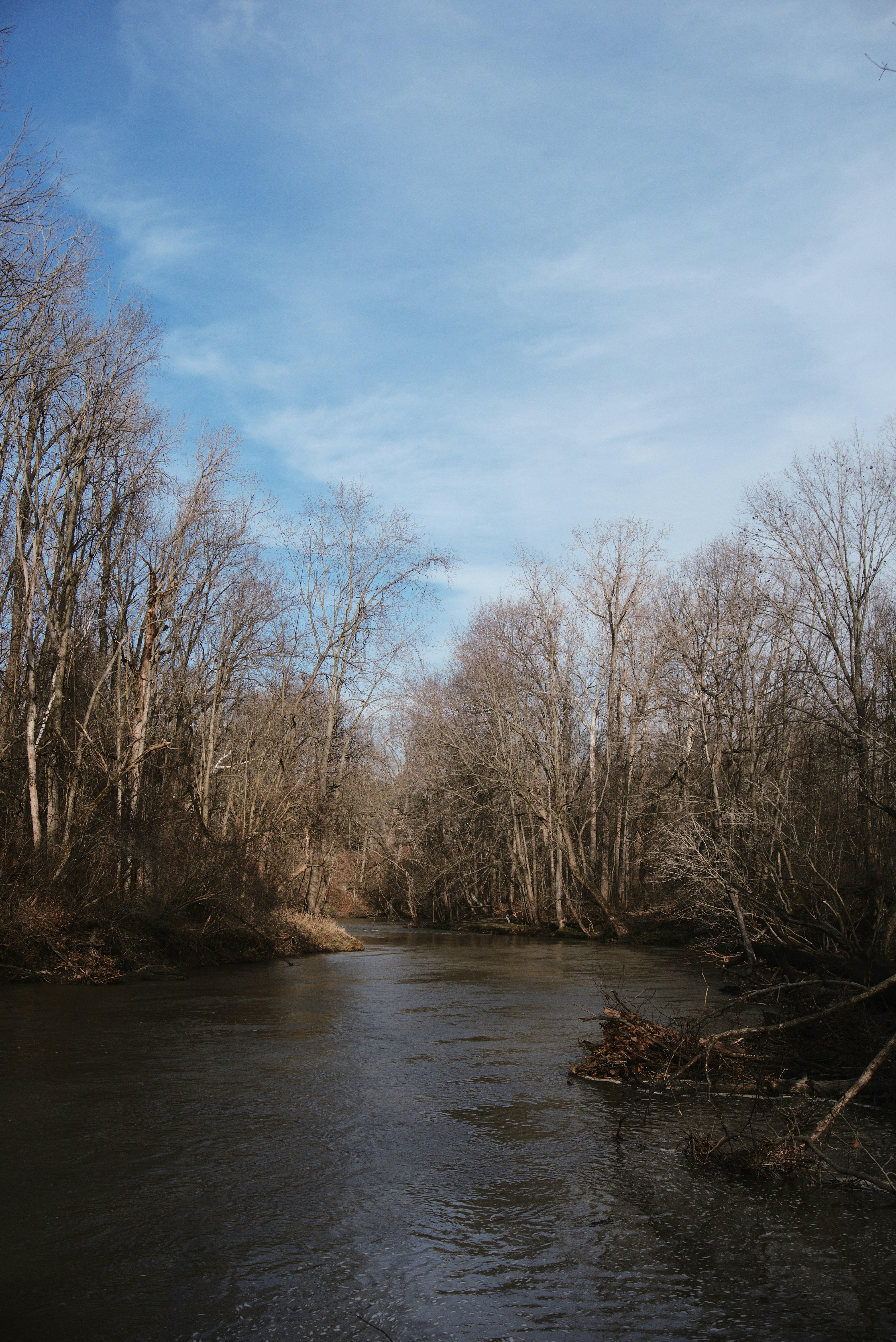 Photo by mrgreatheart