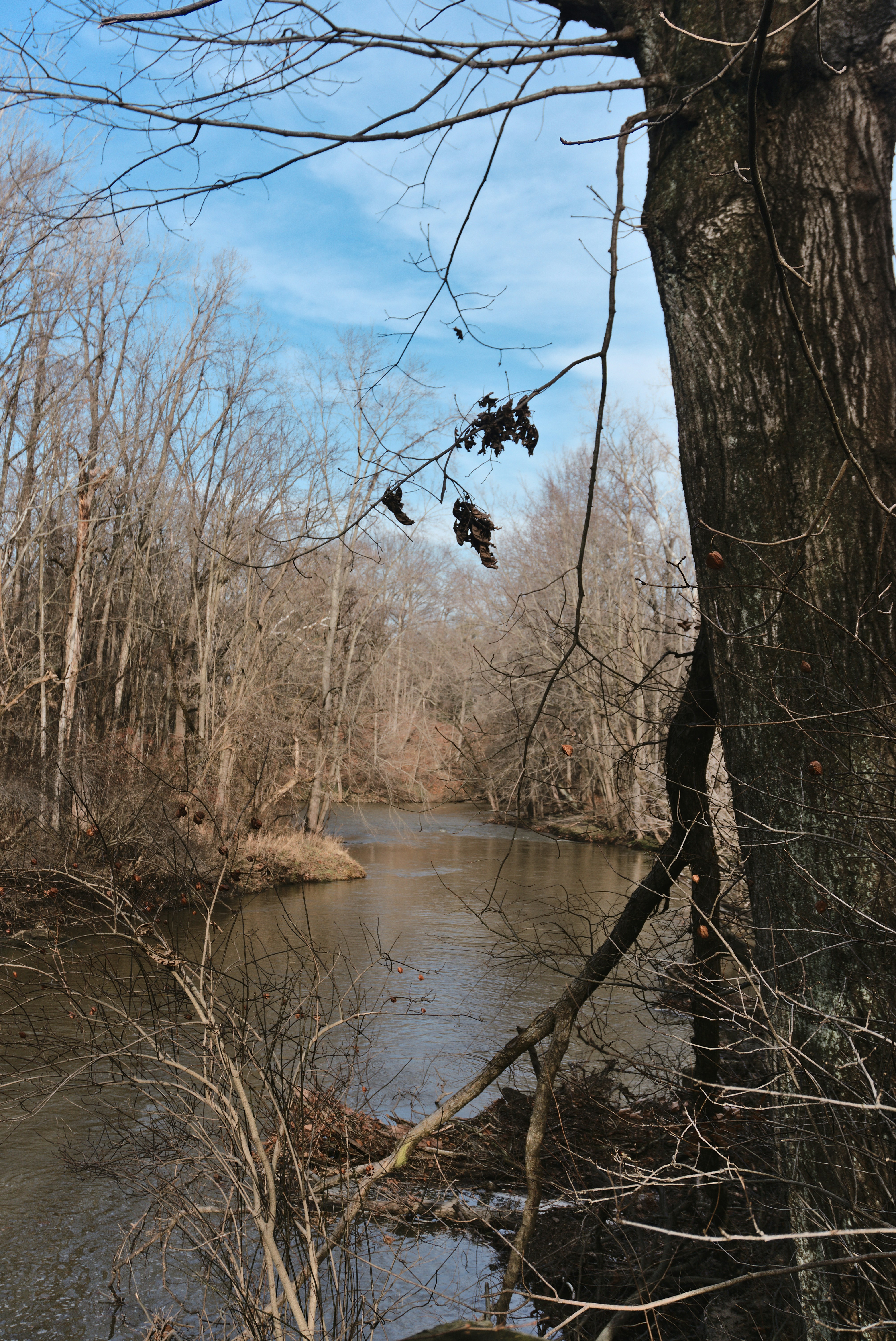 Photo by mrgreatheart