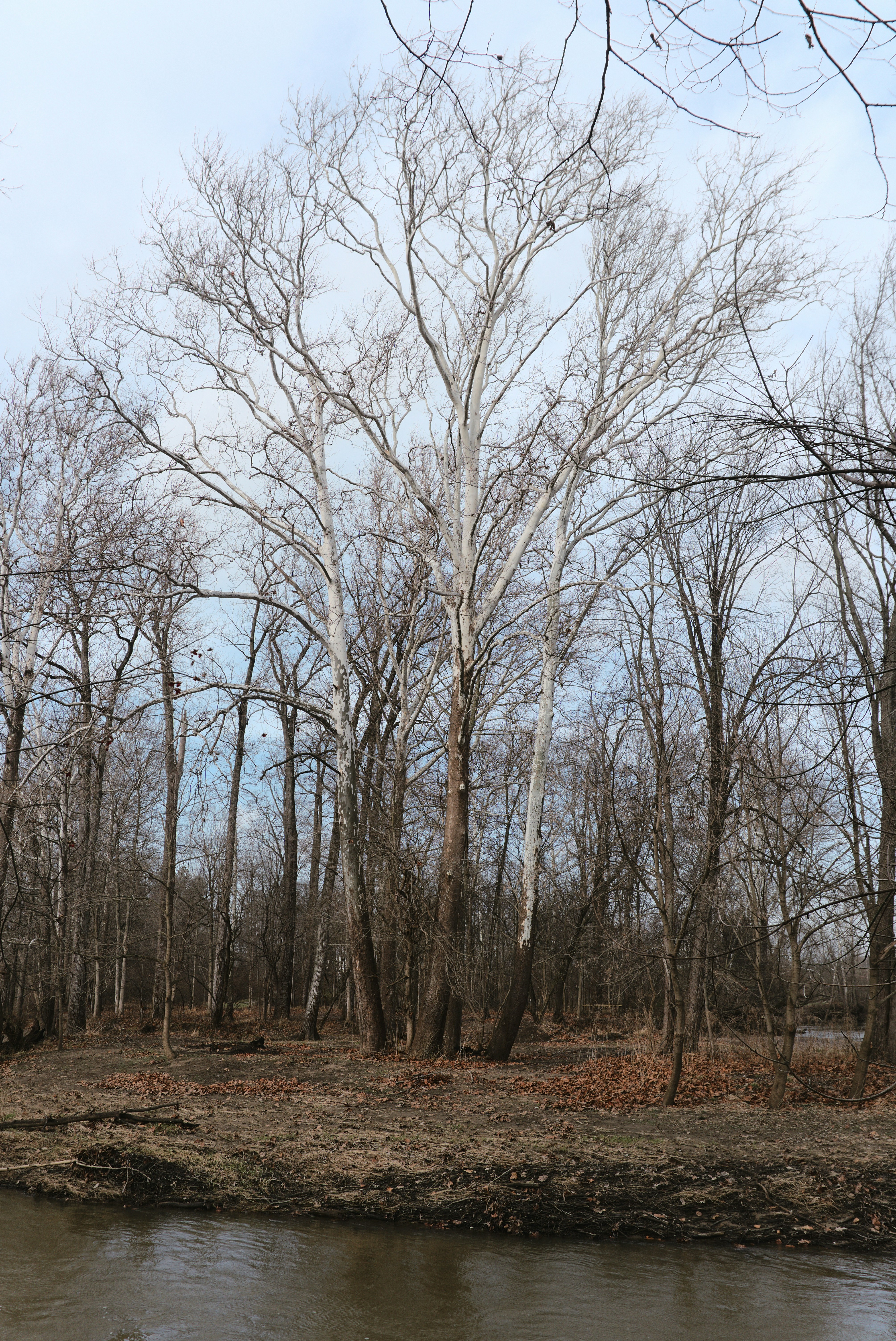 Photo by mrgreatheart