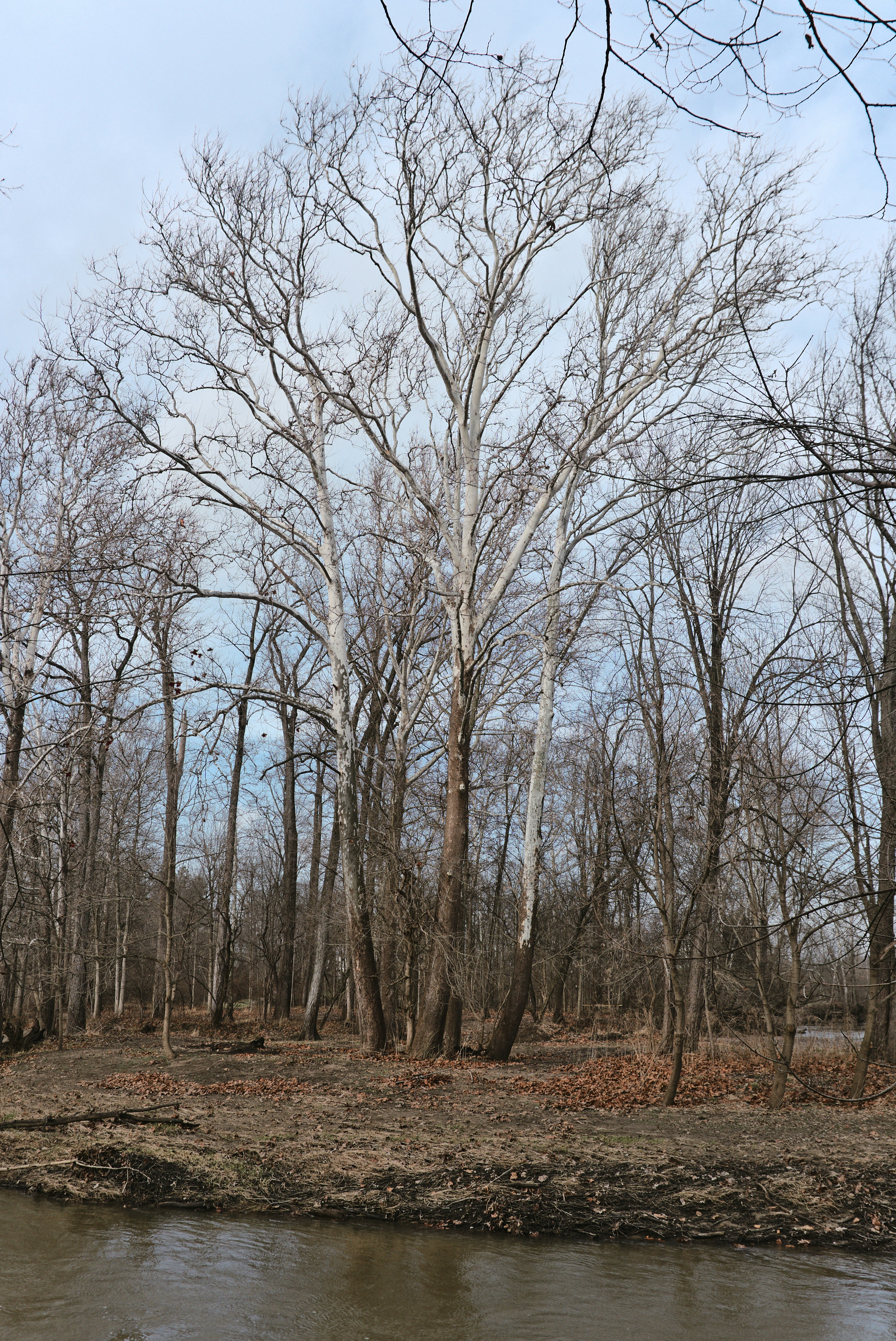 Photo by mrgreatheart