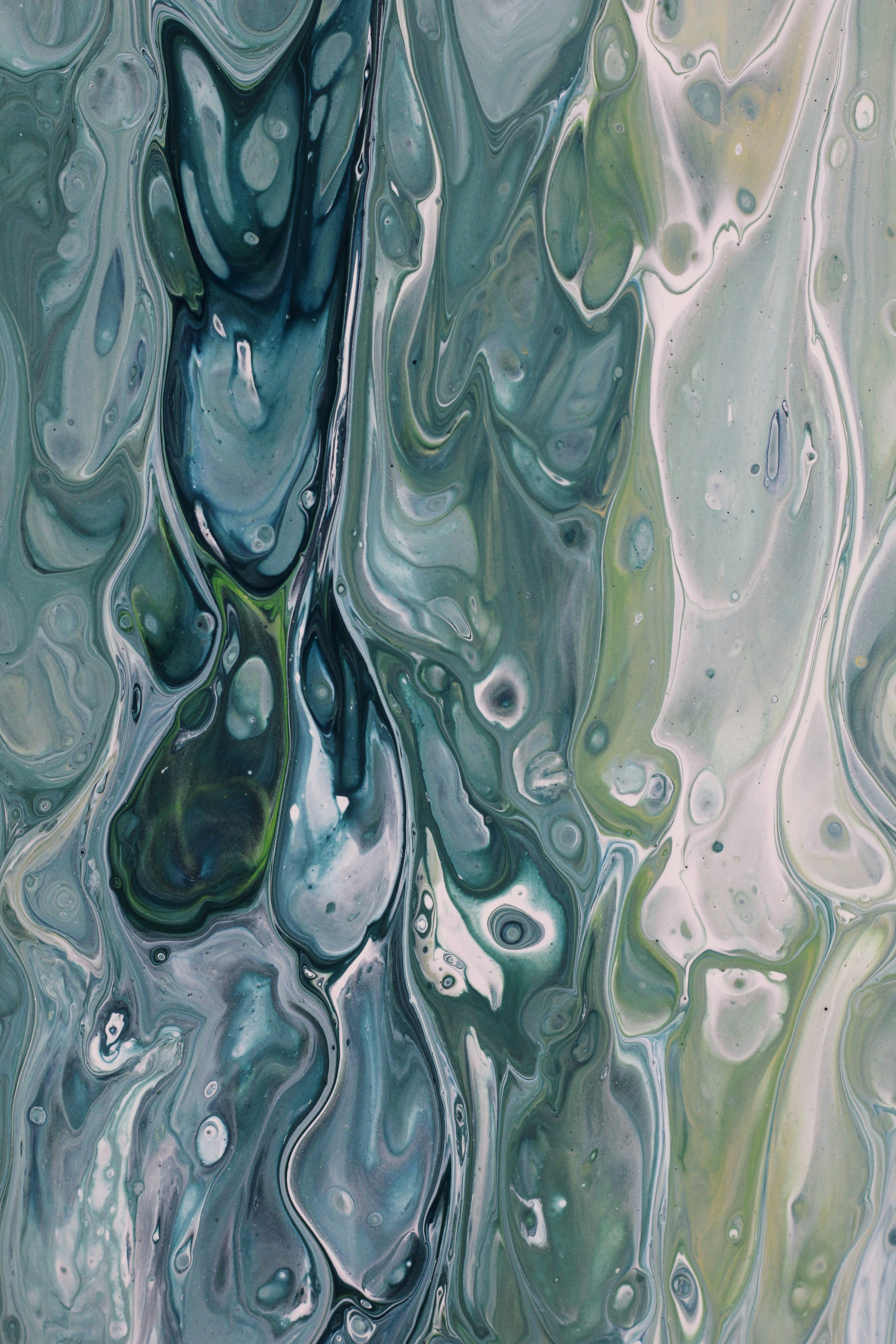 Photo by susan_wilkinson