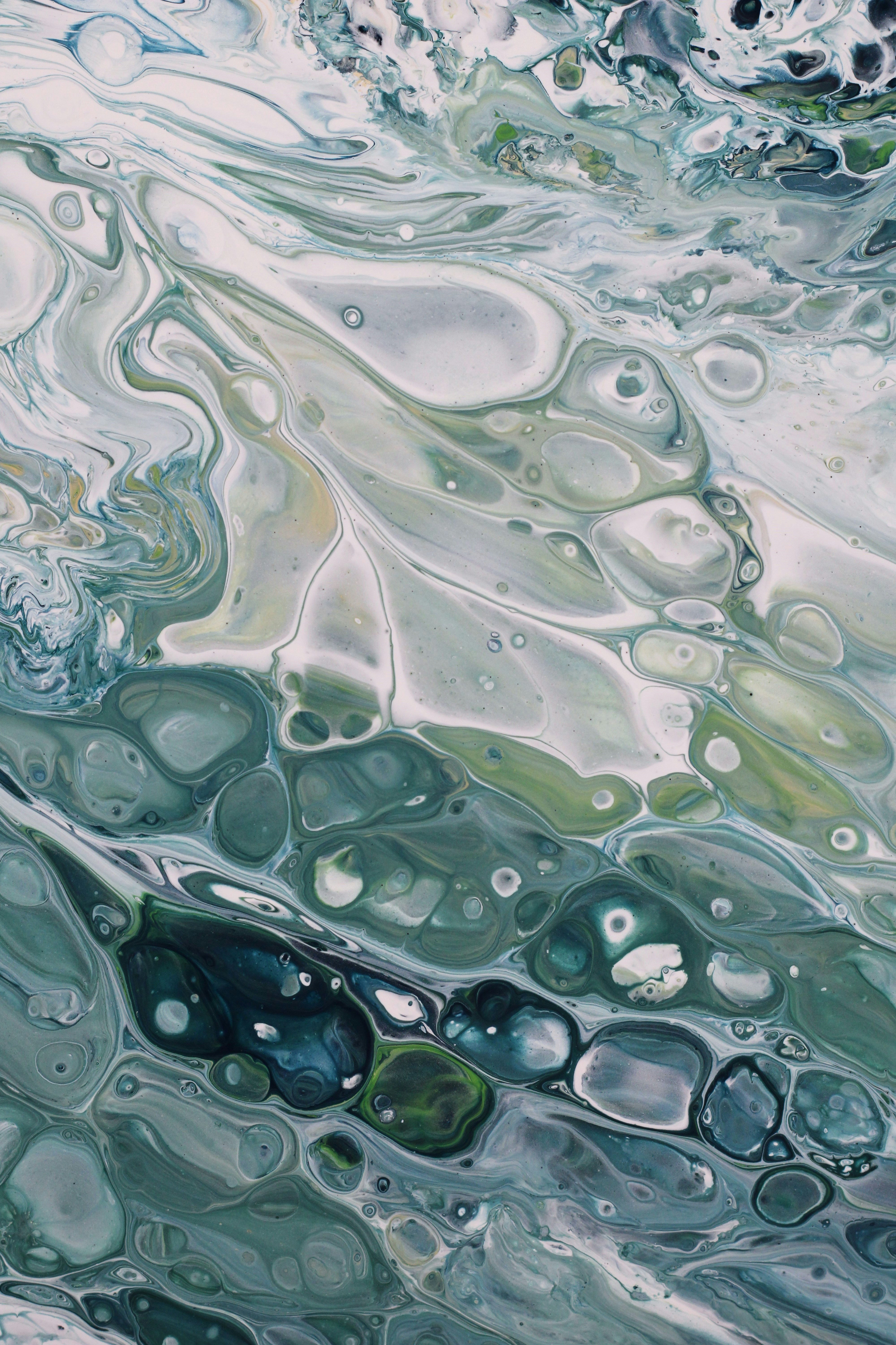 Photo by susan_wilkinson