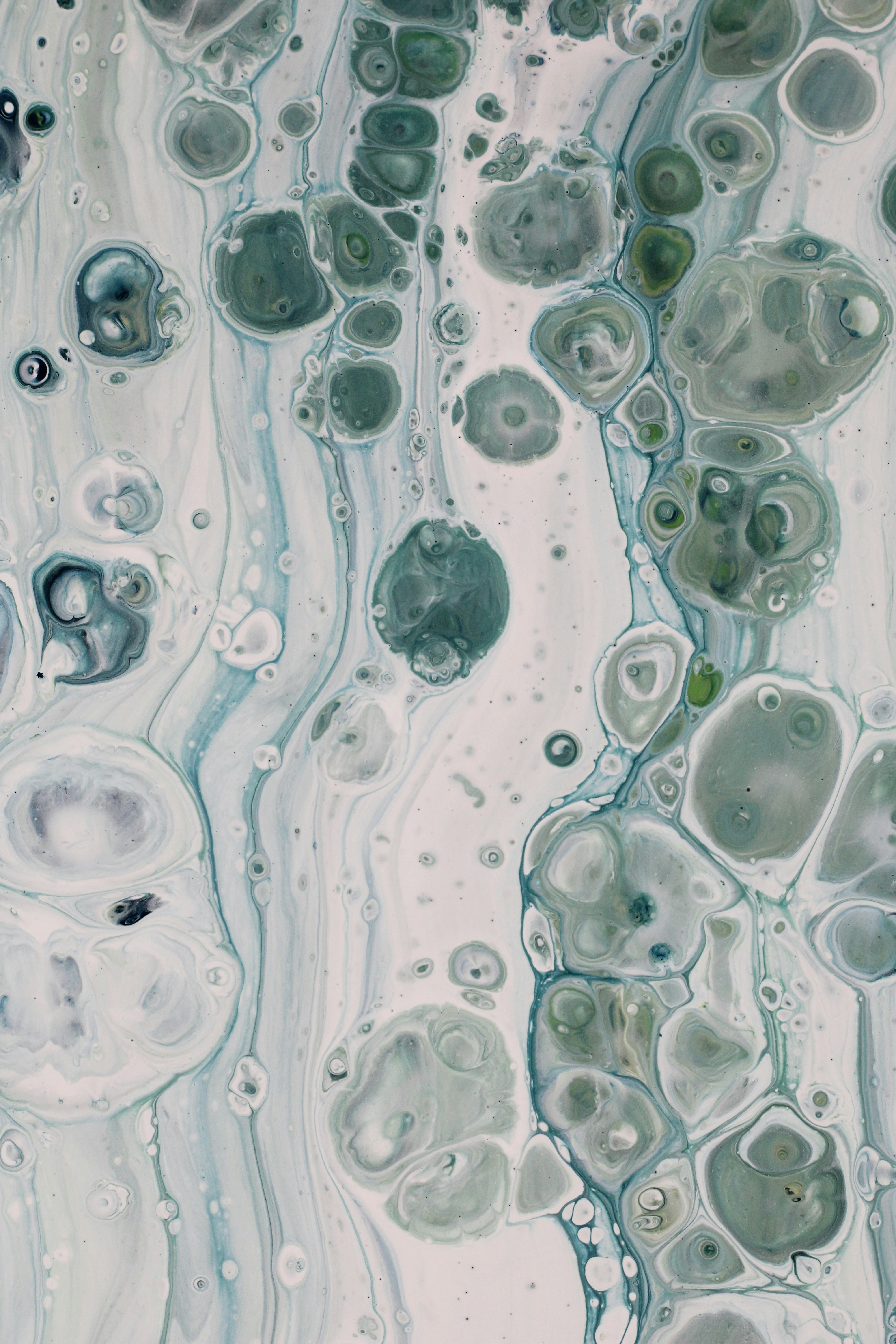 Photo by susan_wilkinson