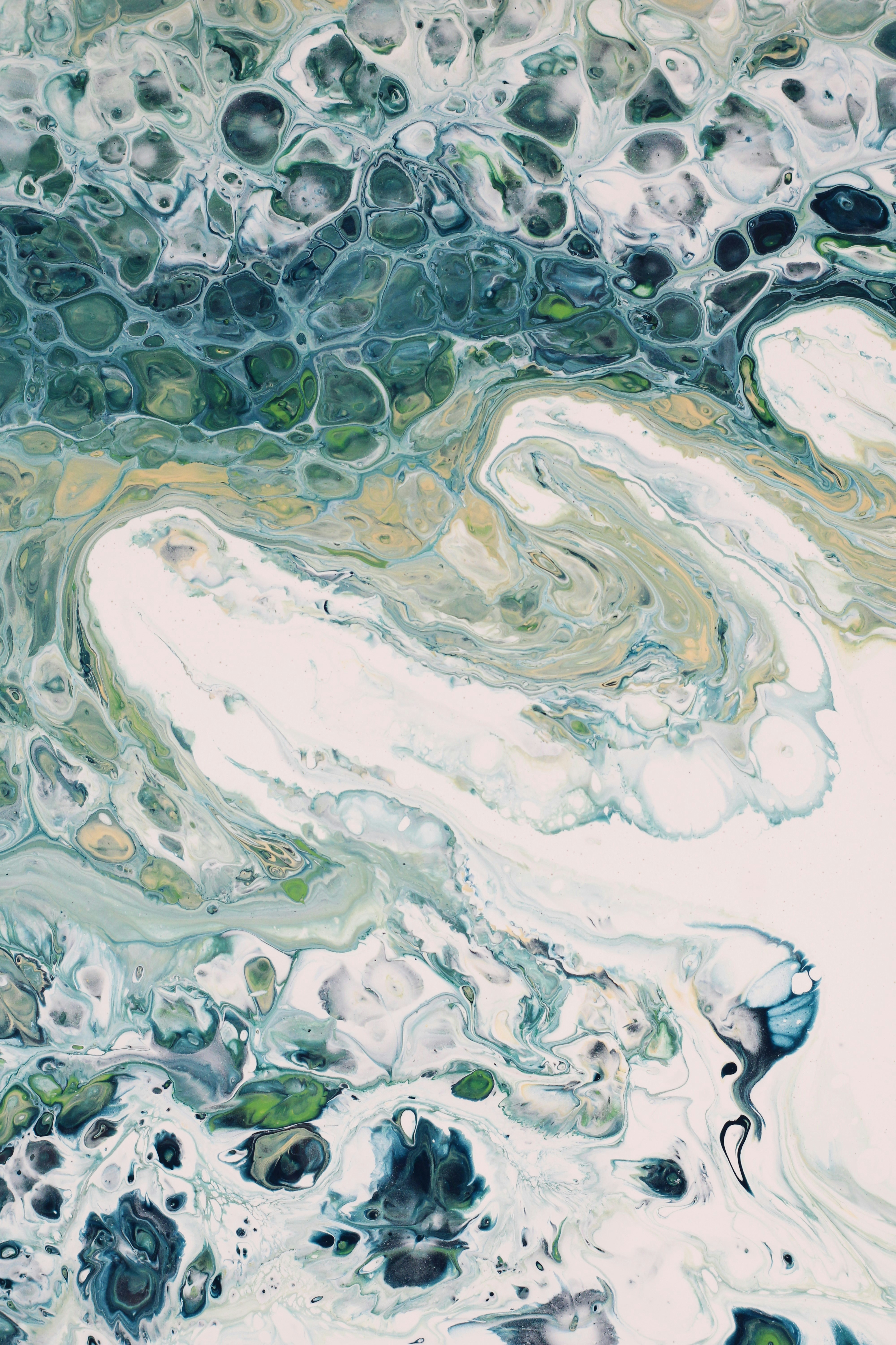 Photo by susan_wilkinson