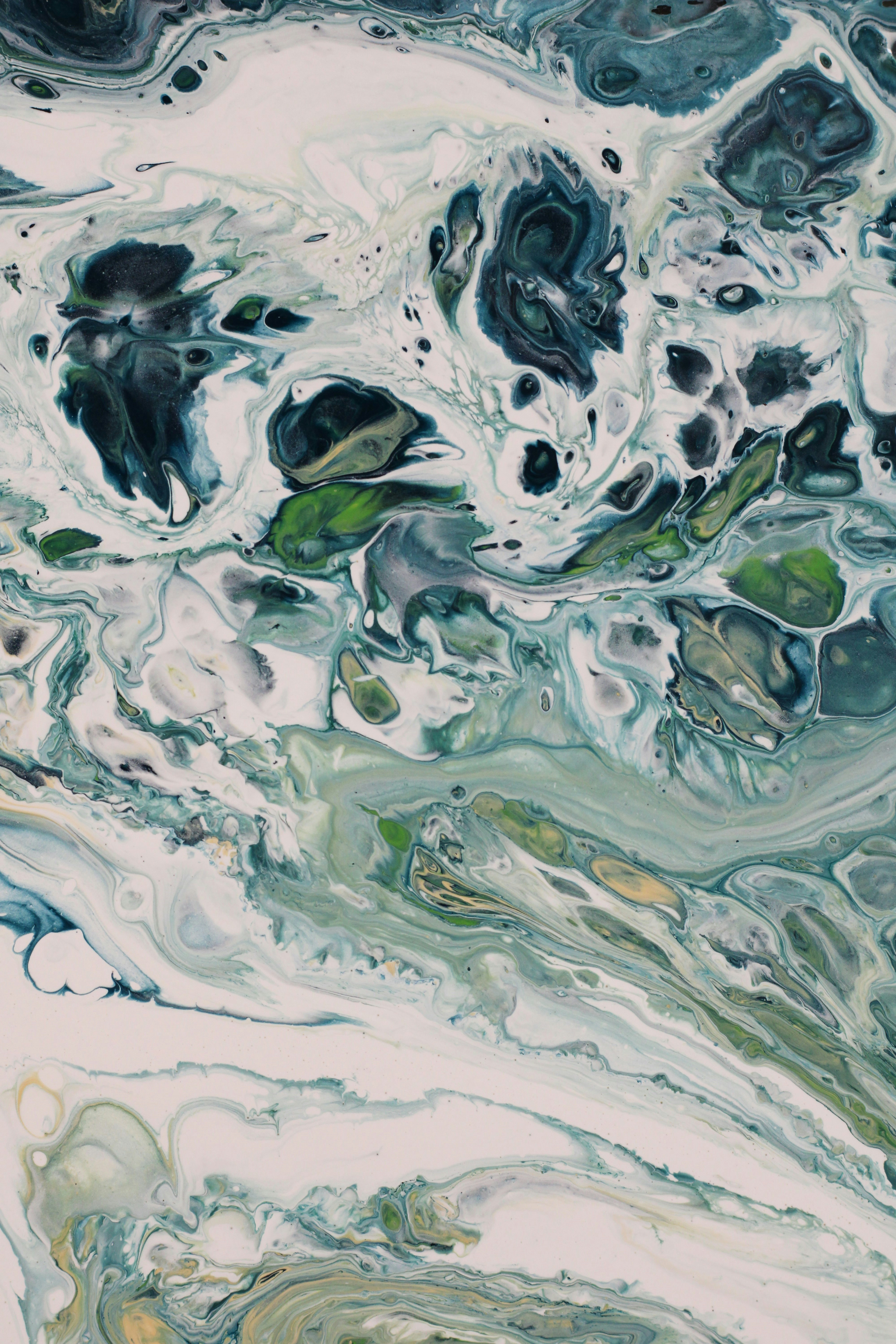 Photo by susan_wilkinson