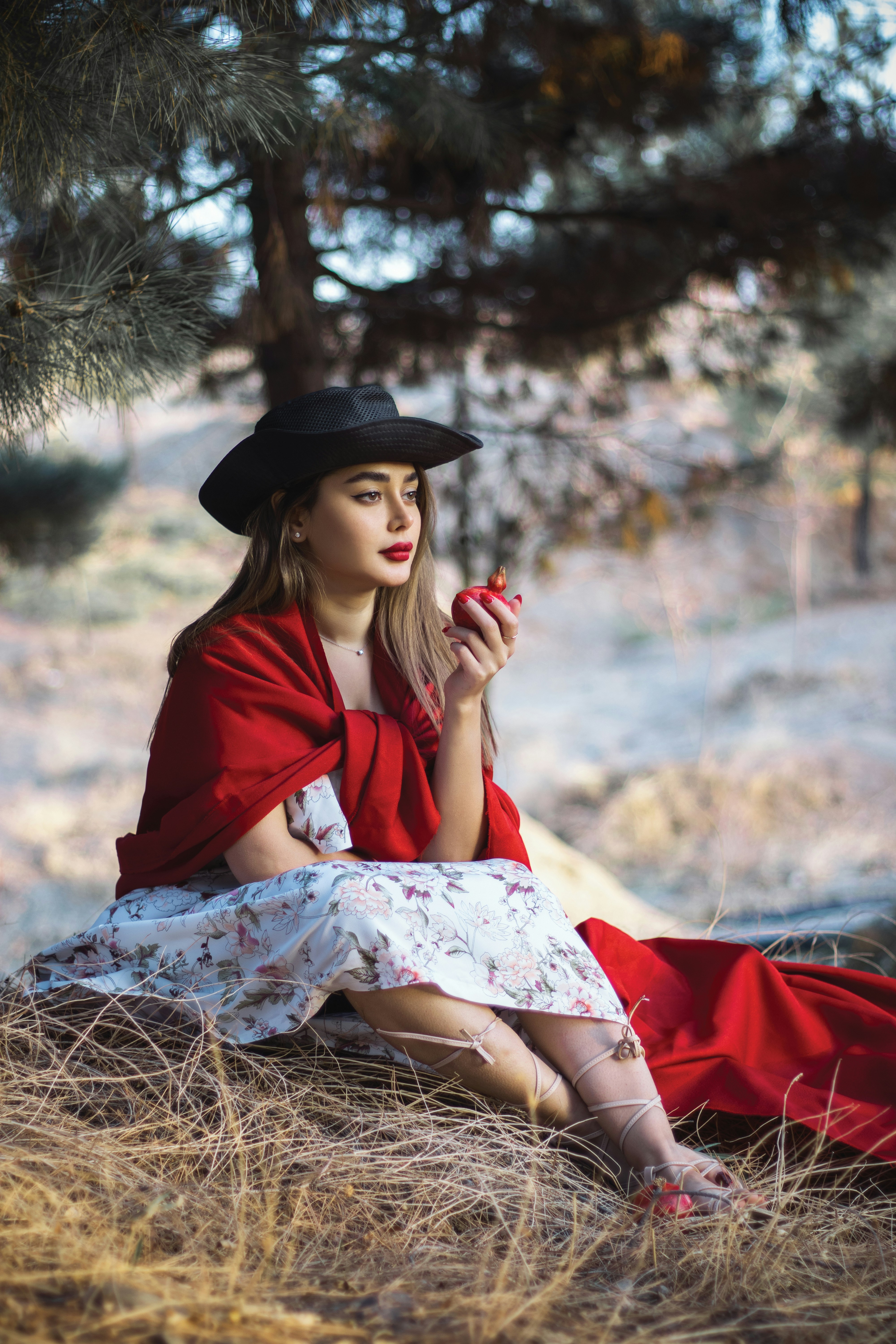 Photo by navidsohrabi