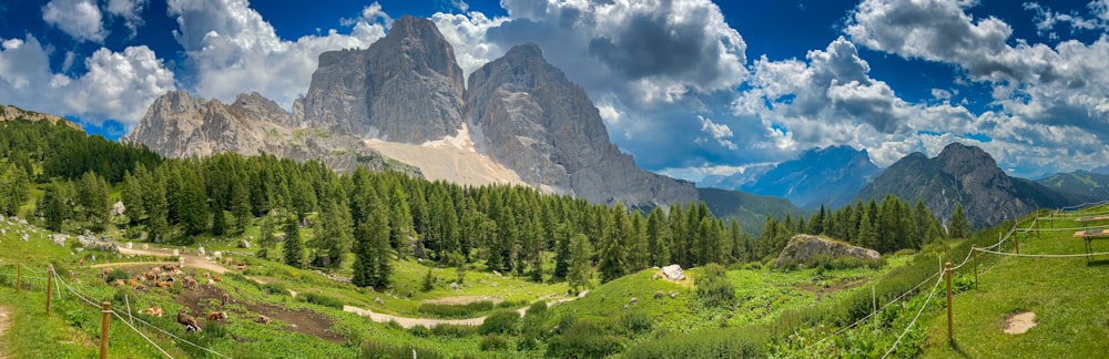 a scenic view of a mountain range with trees and mountains in the background