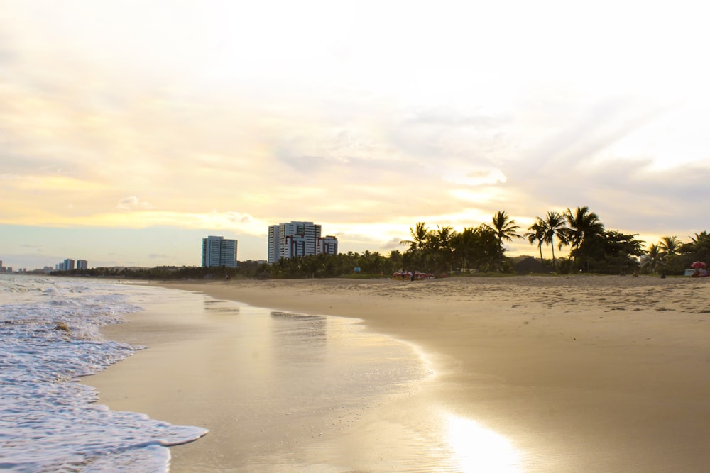 a view of a beach with buildings in the background