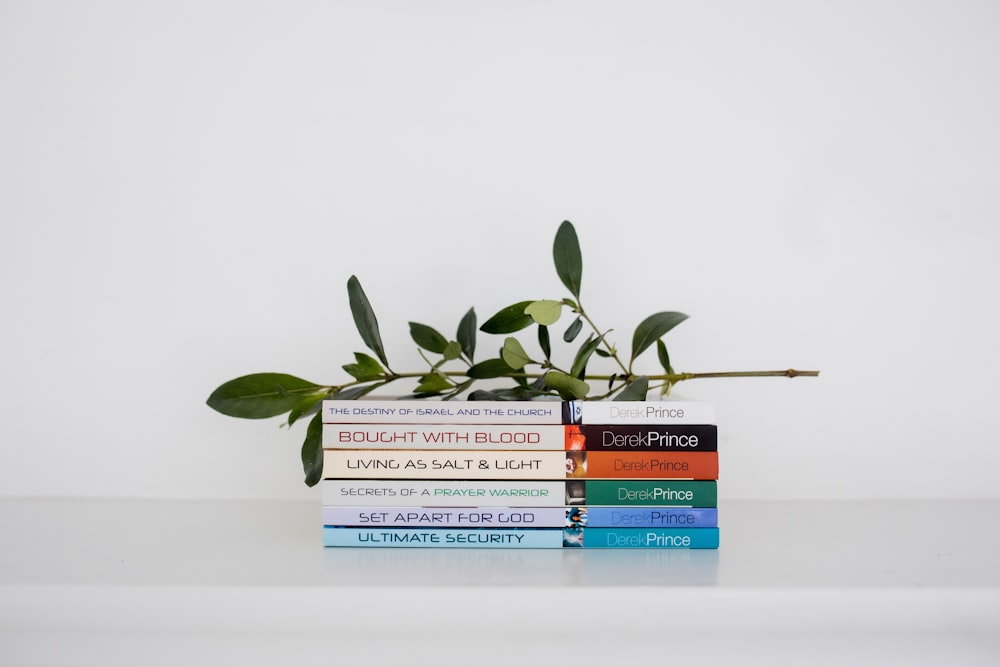 a stack of books sitting on top of a table