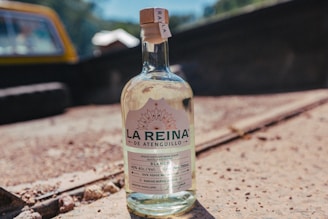 A bottle of La Reina de Atenguillo Raicilla stands on a sunlit, textured surface. The label indicates it is handcrafted and contains 40% alcohol. In the blurred background, parts of a vehicle and greenery can be seen, suggesting an outdoor setting.