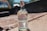 A bottle of La Reina de Atenguillo Raicilla stands on a sunlit, textured surface. The label indicates it is handcrafted and contains 40% alcohol. In the blurred background, parts of a vehicle and greenery can be seen, suggesting an outdoor setting.