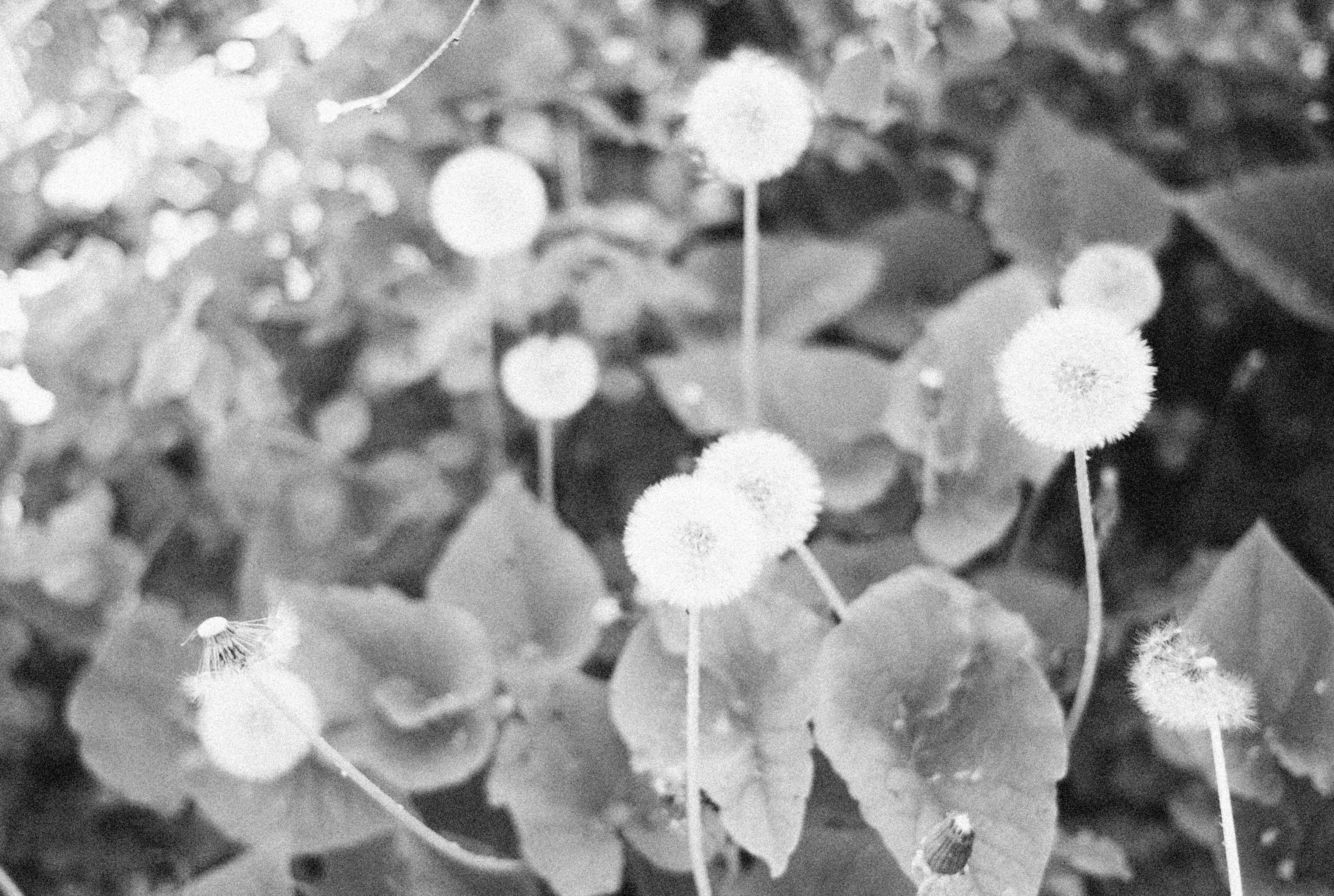 Photo by alexeydemidov