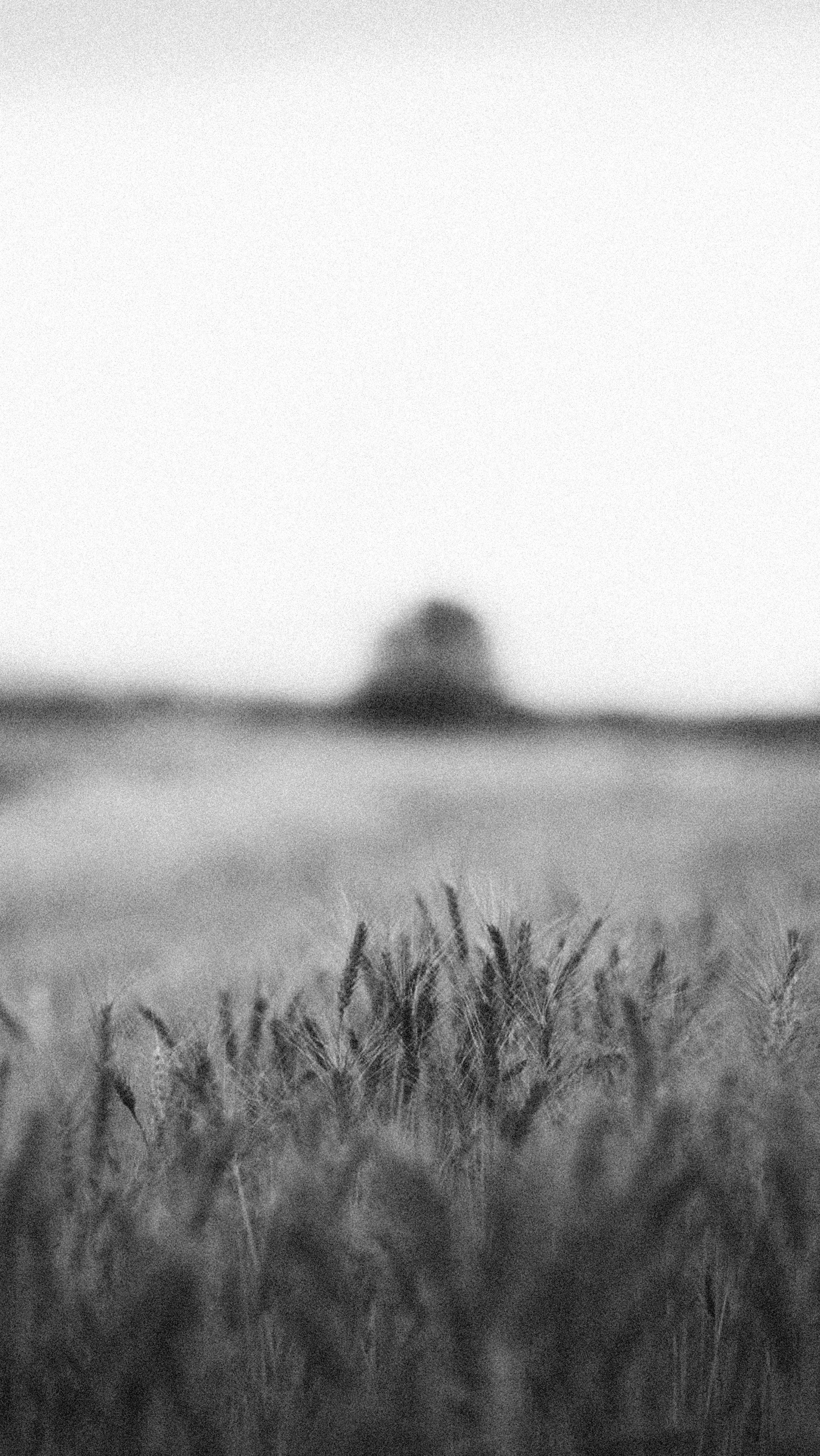 Photo by alexeydemidov