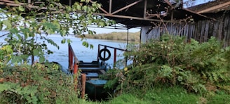A peaceful spot on Río Cureña with vibrant flora and a small wooden dock.