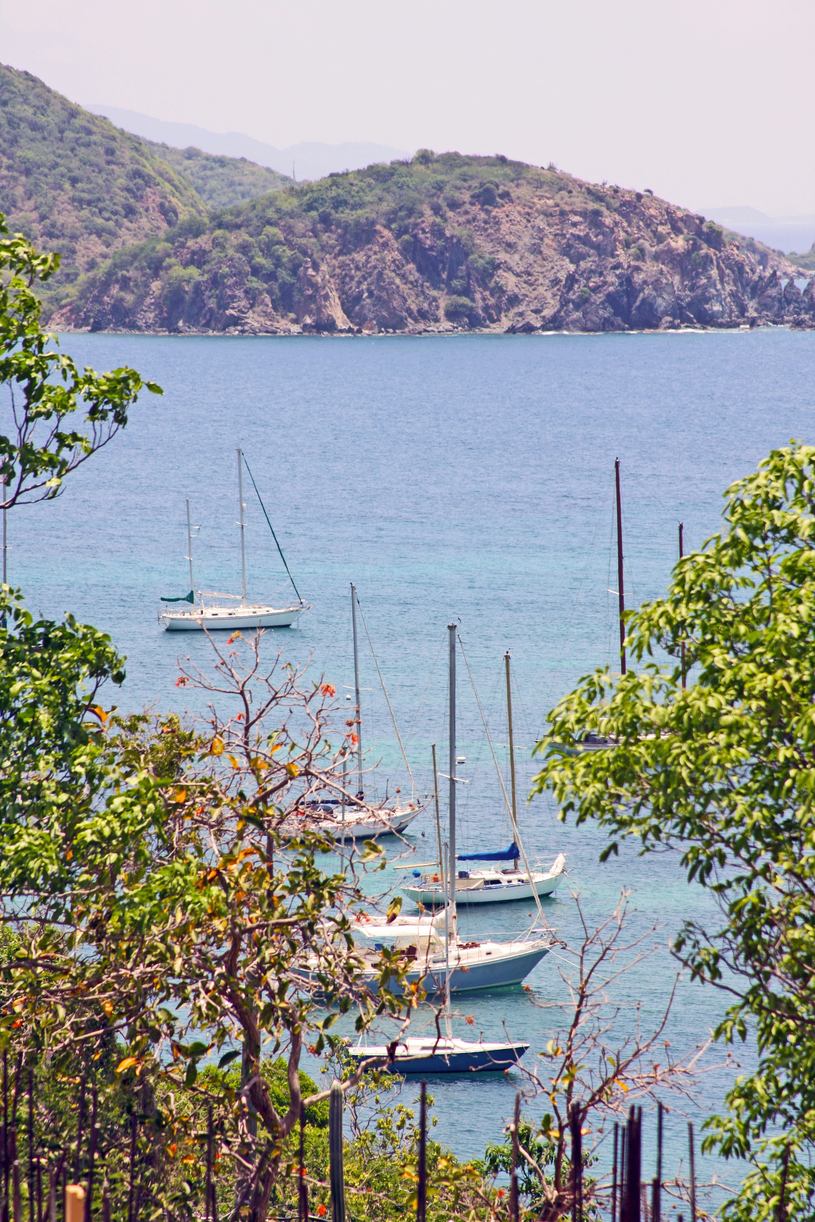 Photo by climatechangevi