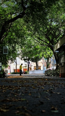 A serene street scene with a lone figure walking.