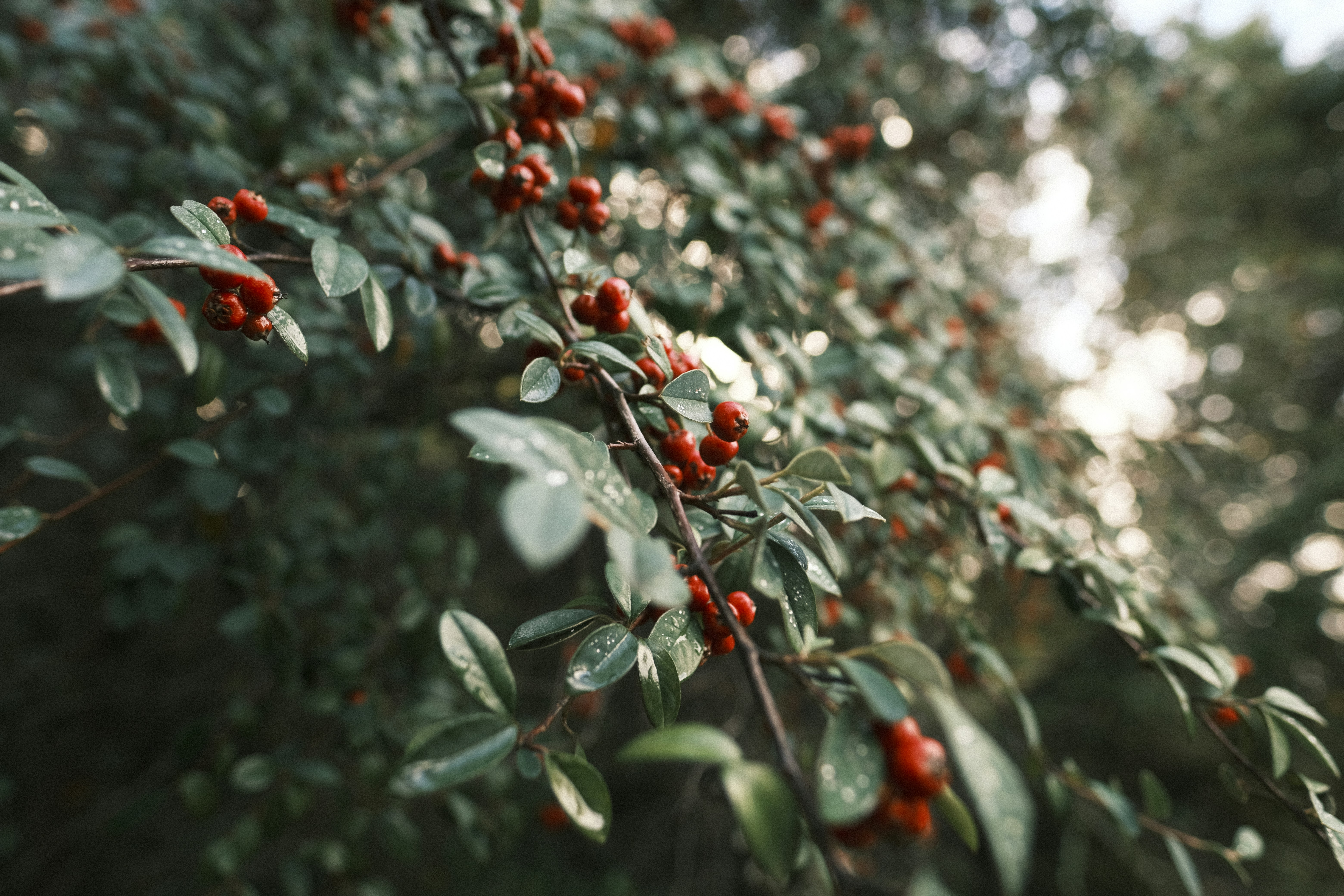 Photo by chandleraitchison