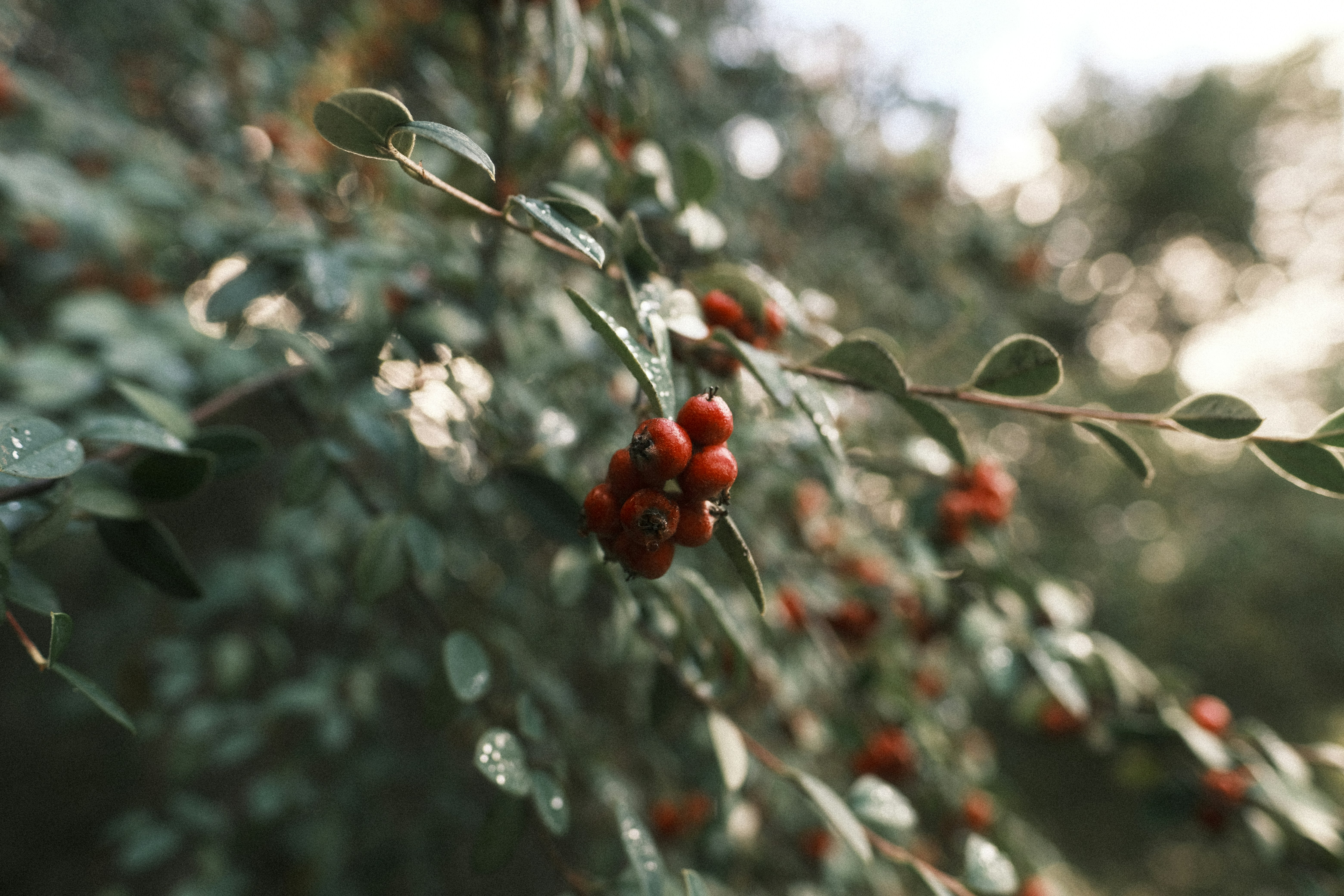 Photo by chandleraitchison