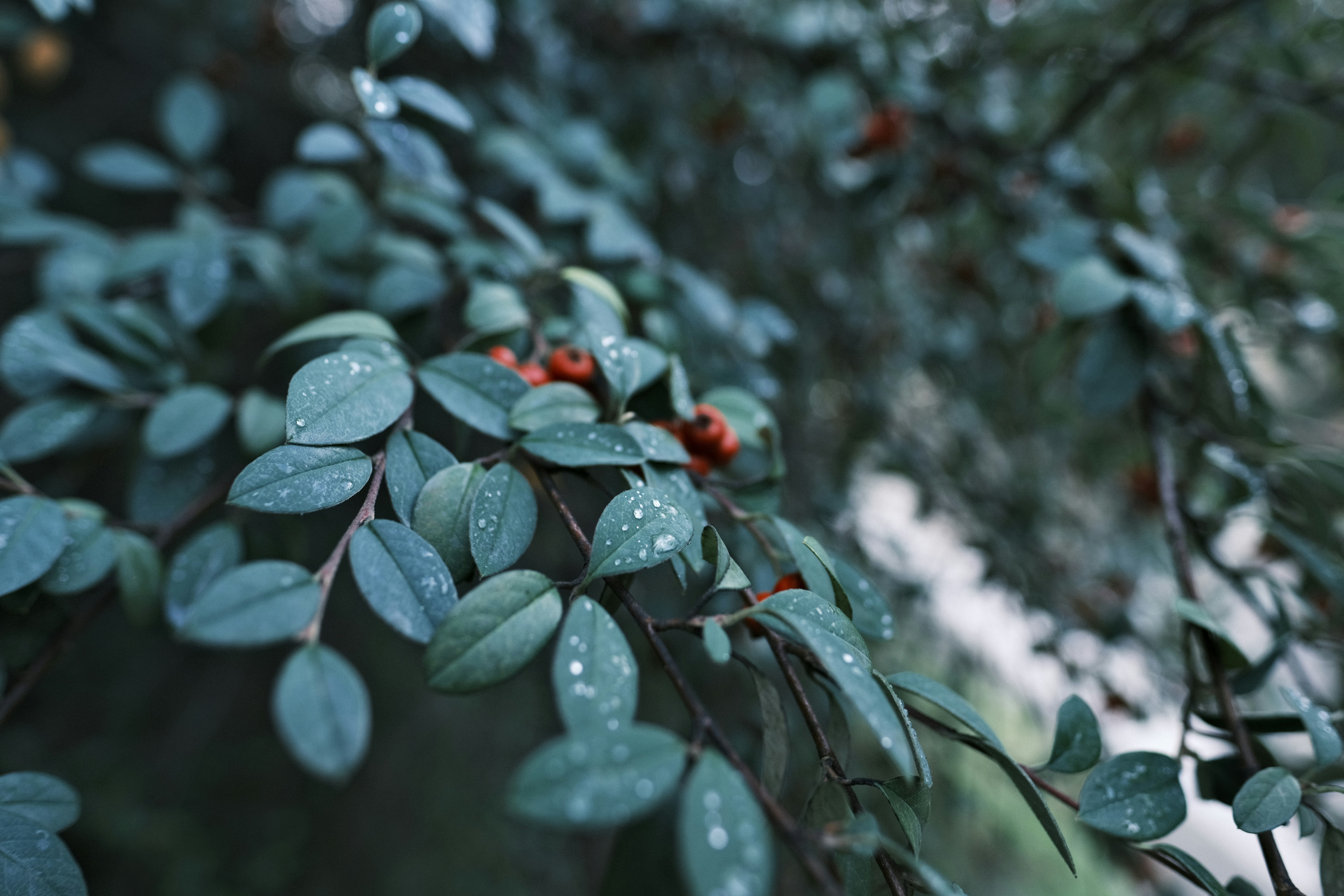 Photo by chandleraitchison