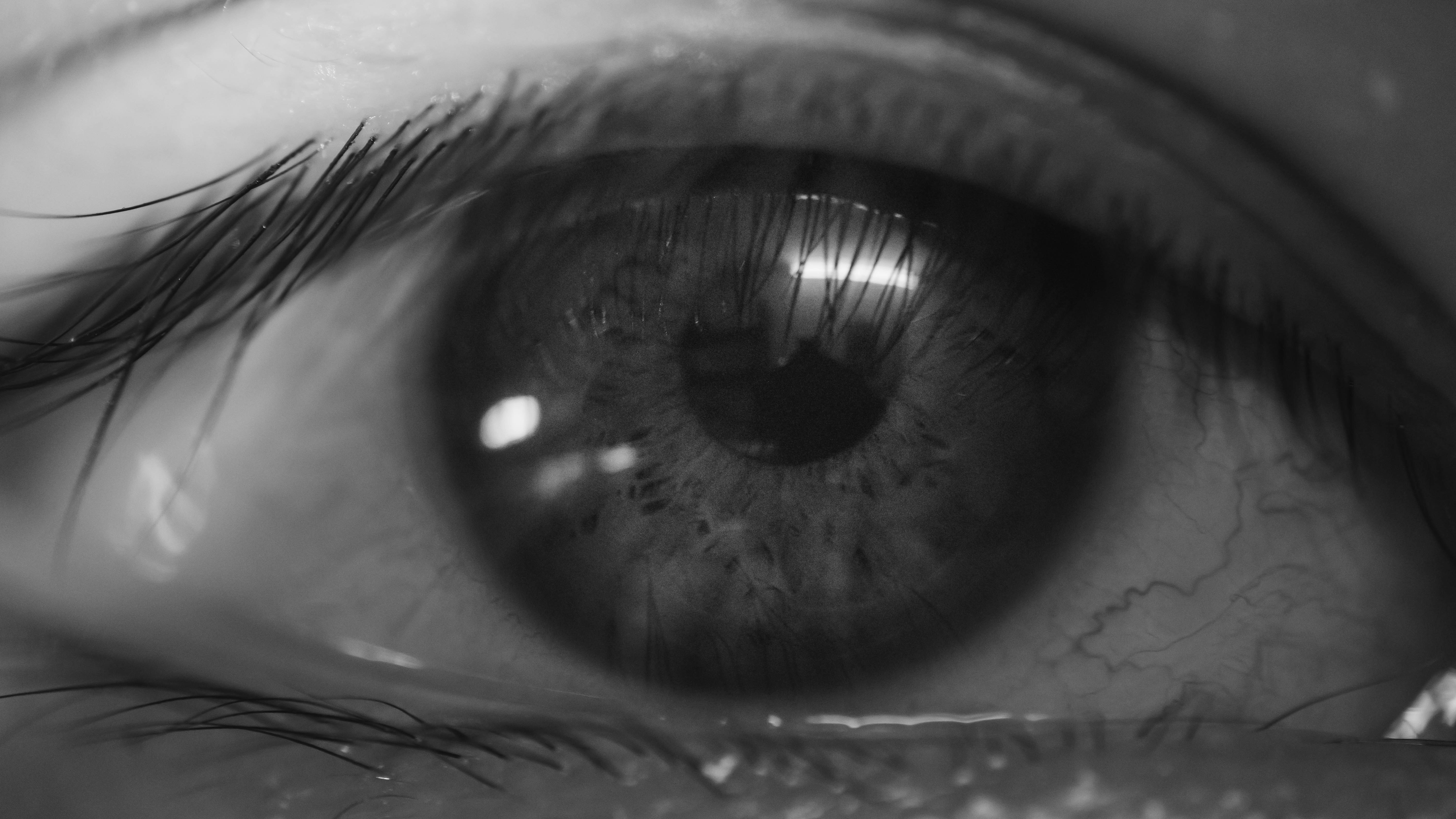 Photo by dying_apricity