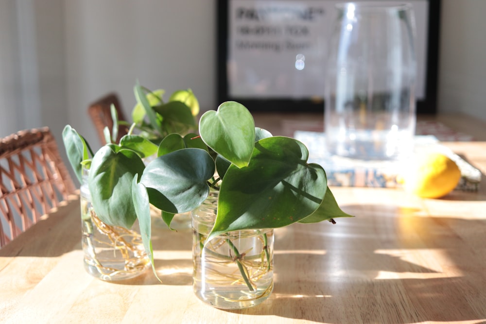 a wooden table topped with two vases filled with plants