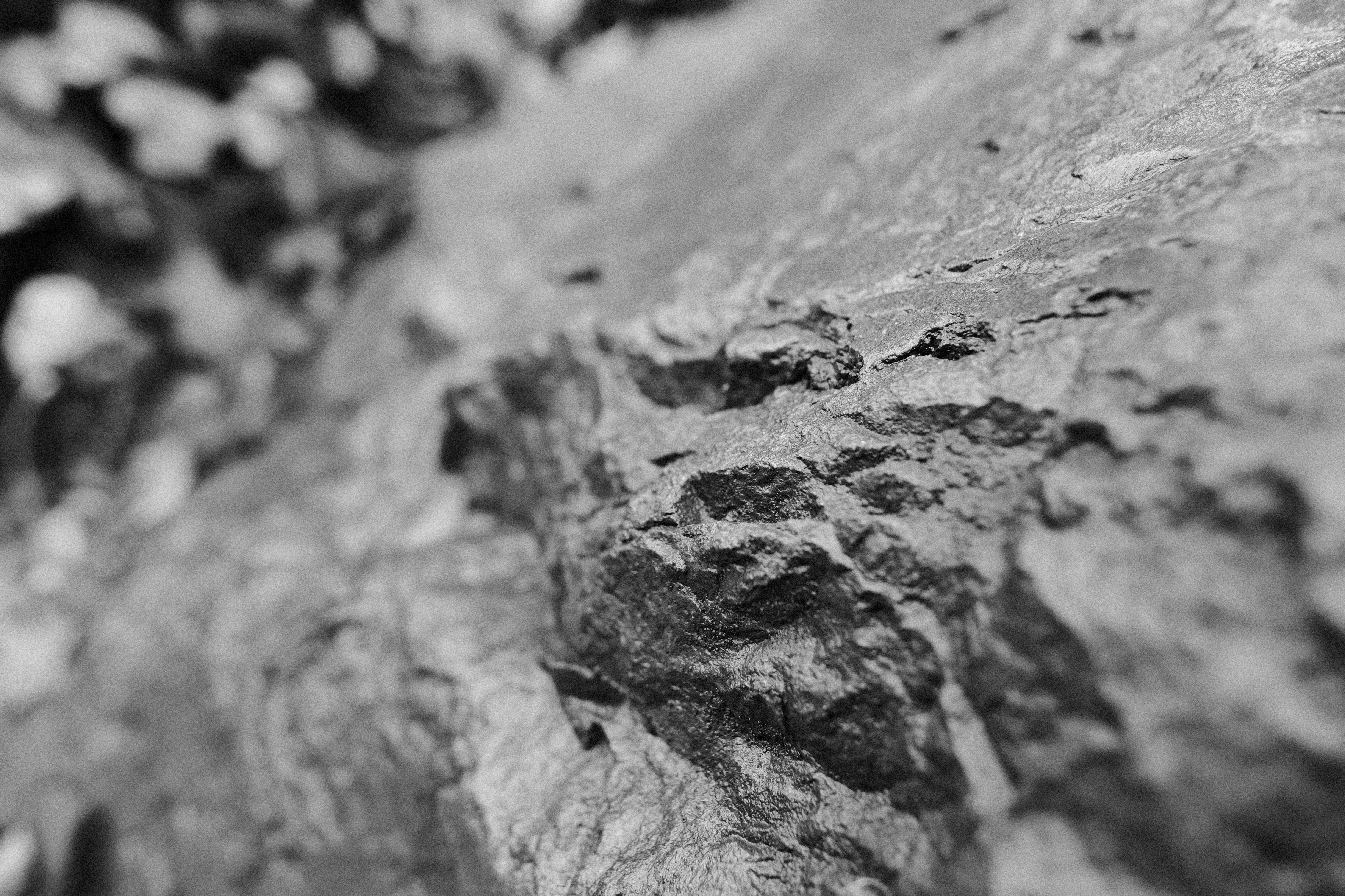 Photo by chandleraitchison