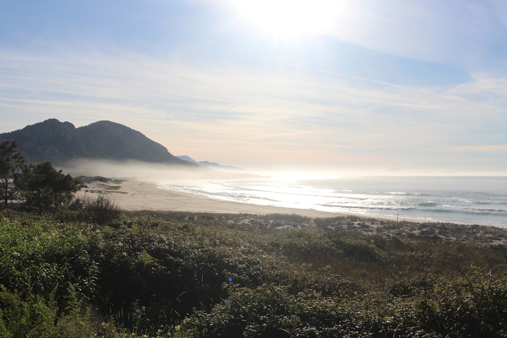 a view of a beach with a mountain in the background