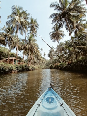 A serene waterway flanked by tall palm trees stretches into the distance. A blue kayak with a compass design on its front part is floating in the water, which reflects the lush greenery on both sides. In the background, more palm trees can be seen under a clear blue sky, and a small hut is partially visible among the foliage on the riverbank.