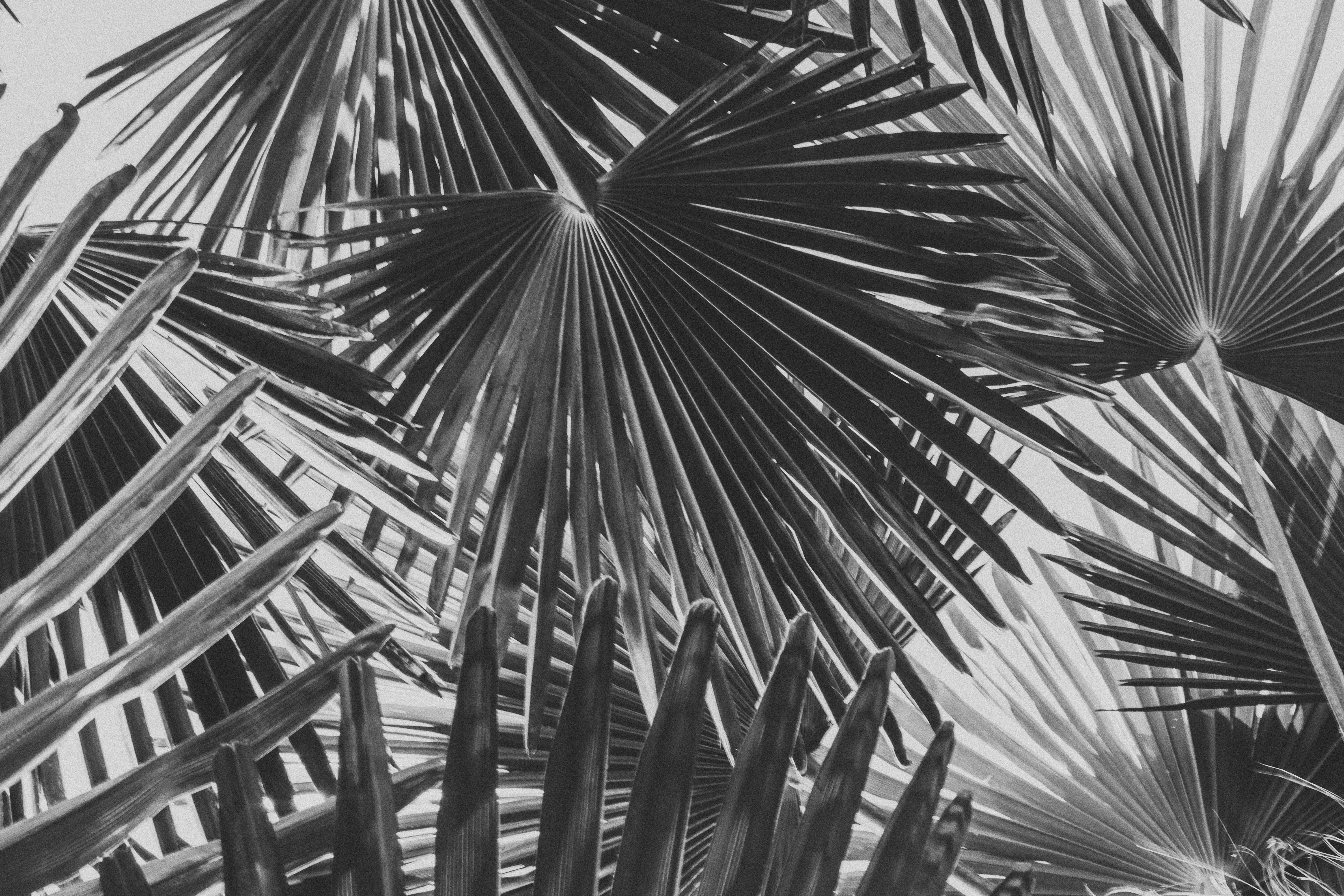 Photo by karacarmichael