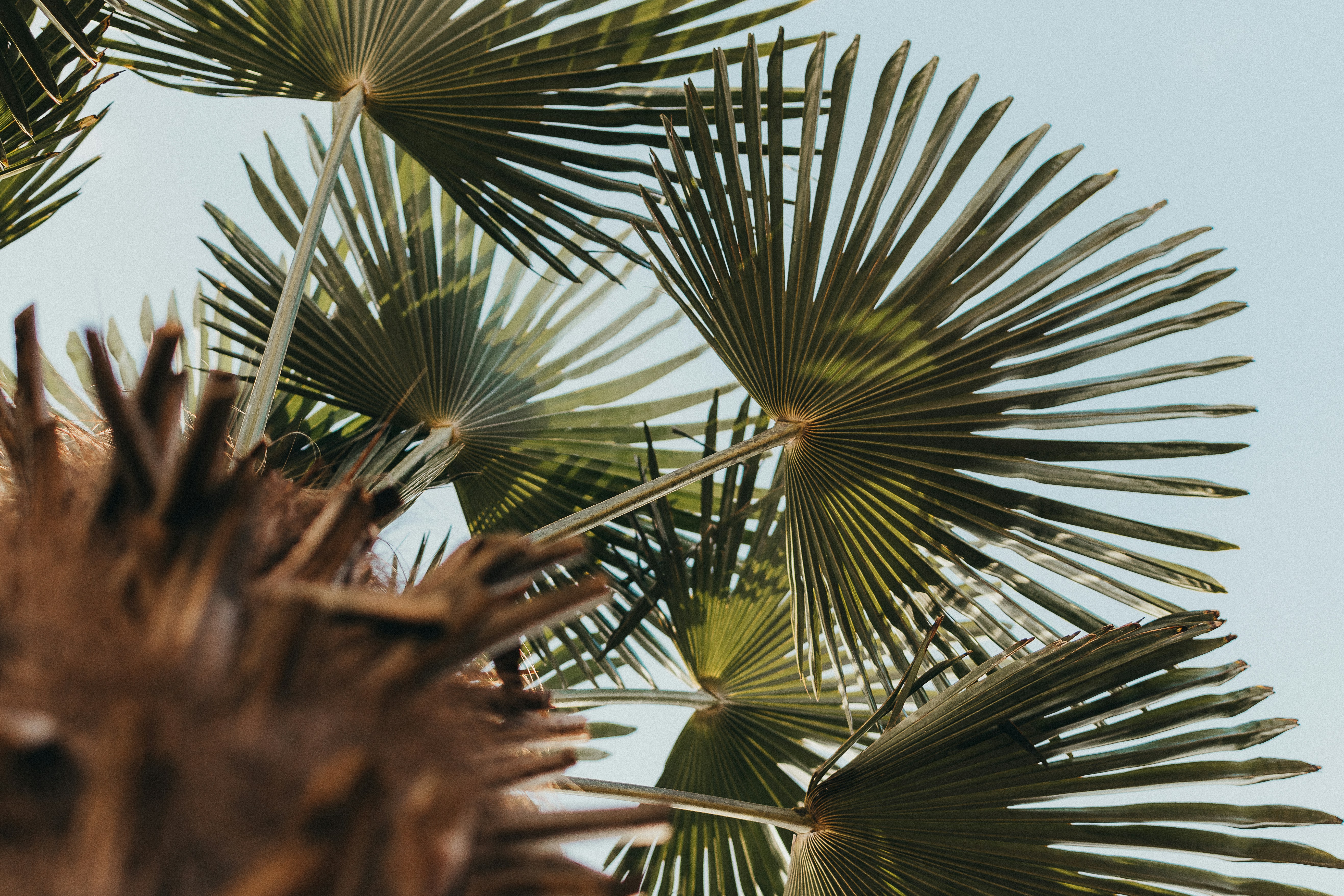 Photo by karacarmichael