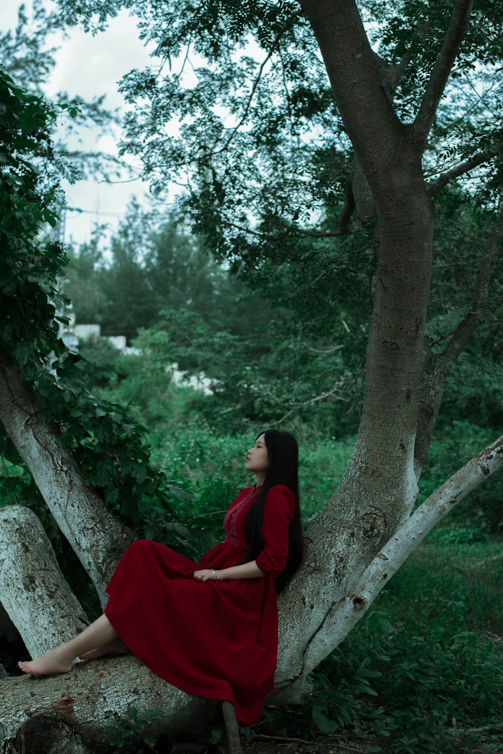a woman in a red dress sitting on a tree branch