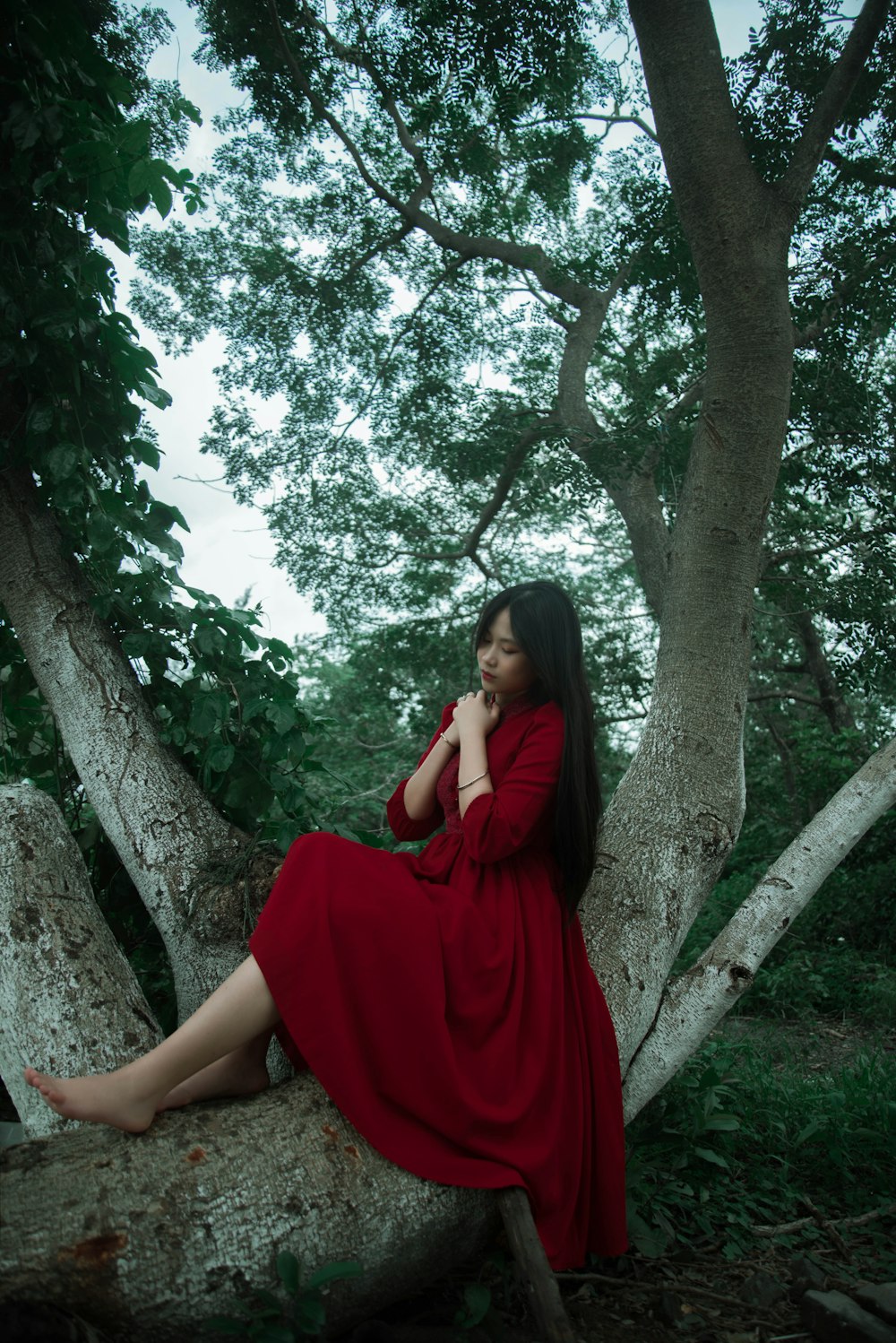 a woman in a red dress sitting on a tree branch