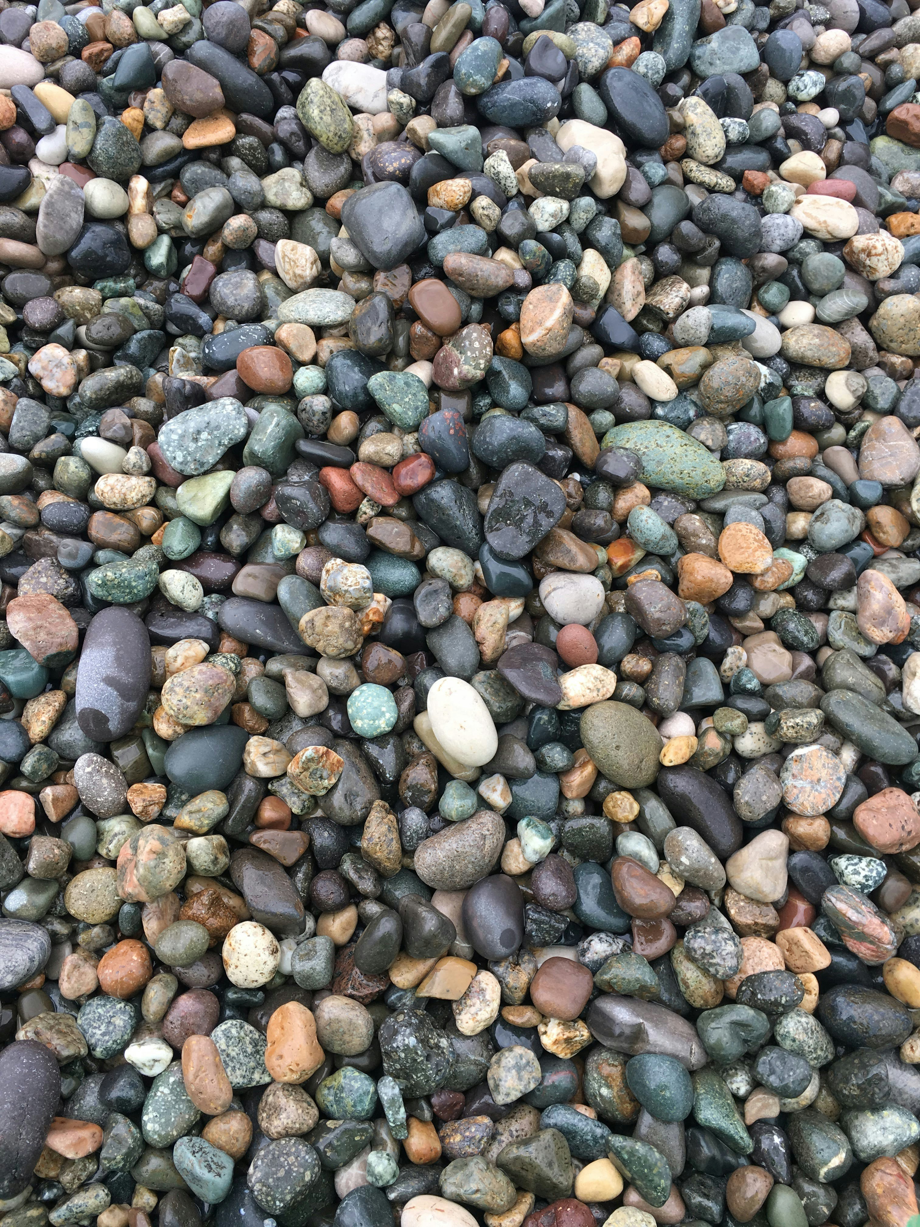 photo-1639726795172-769f95c0fffc?ixid=M3wxMjA3fDB8MXxzZWFyY2h8MTl8fGtpdmlkZSUyMHB1aGFzdGFtaW5lfGVufDB8fHx8MTc2NzkxMzYyNHww\u0026ixlib=rb-4.1.0